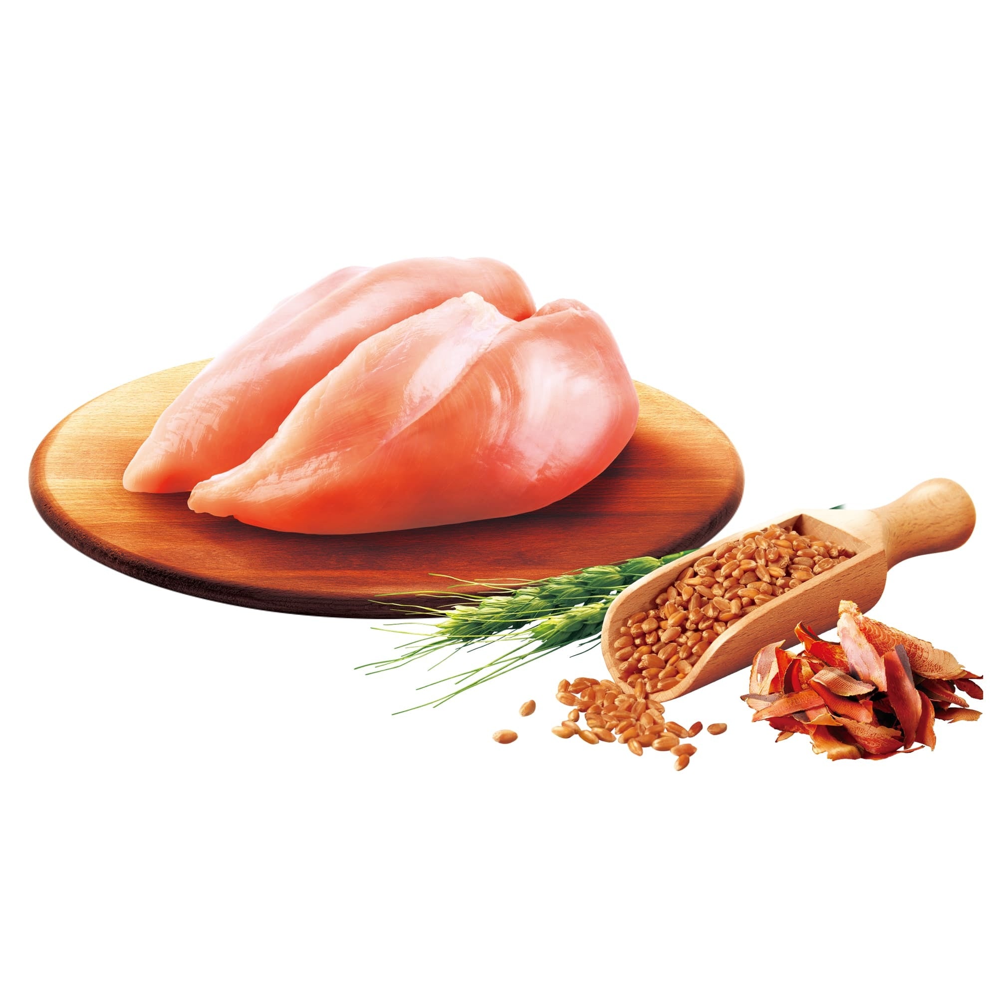 【ヤムヤムヤム! yum yum yum! 】犬用フード ハイシニア 13+ チキン ウェットタイプ 400g(80g×5)