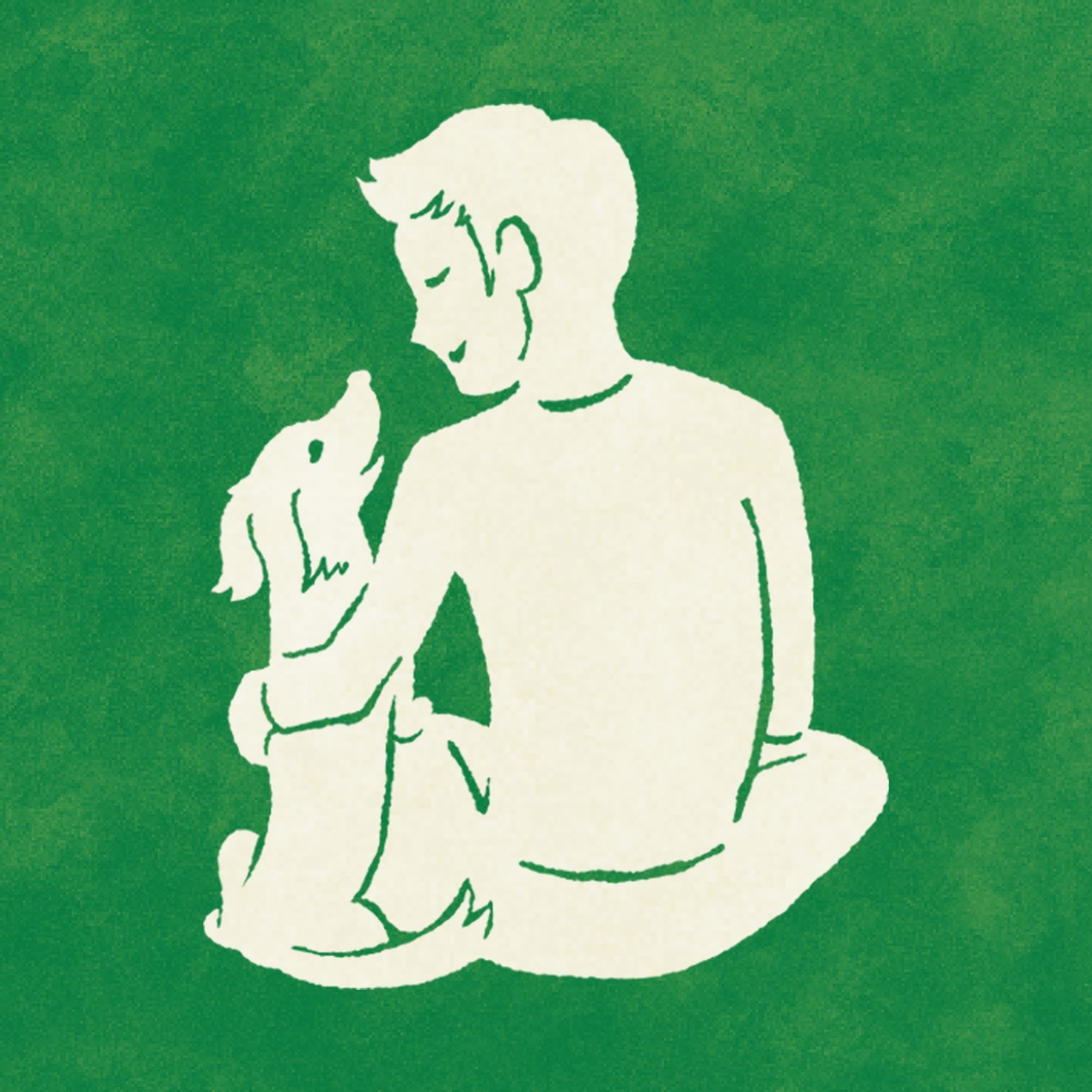 【ヤムヤムヤム! yum yum yum! 】犬用フード ハイシニア 13+ チキン ウェットタイプ 400g(80g×5)