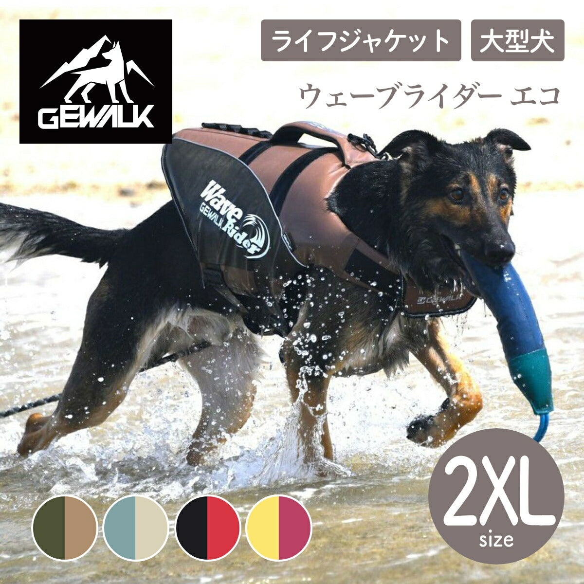【GEWALK ジウォーク】【2025年モデル】ウェーブライダー エコ 2XLサイズ