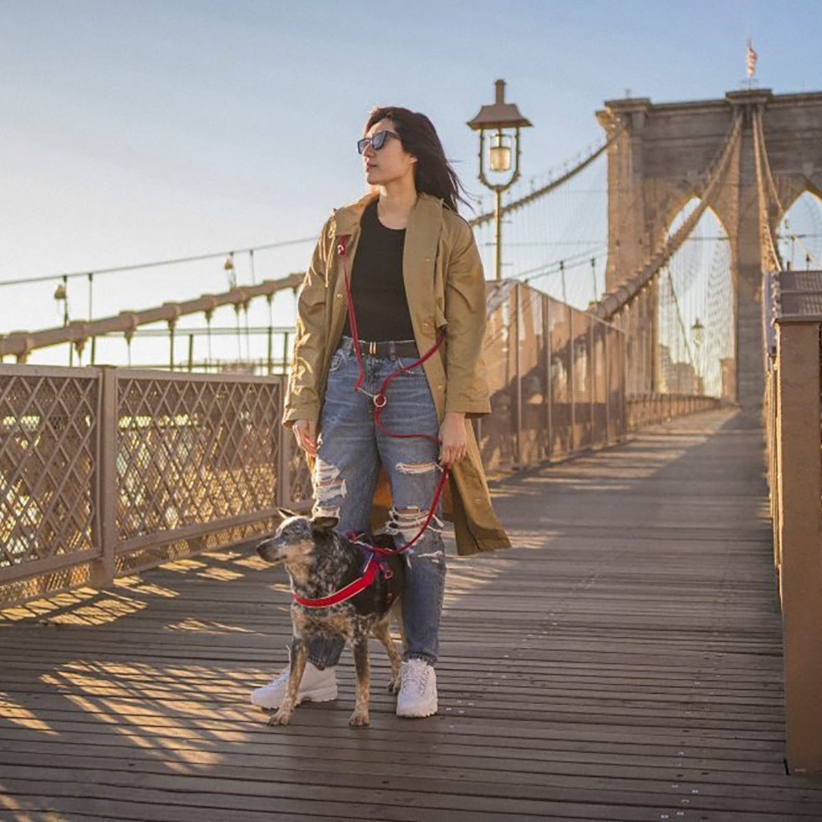 【Julius-K9 ユリウスケーナイン】スーパーグリップリード アジャスタブル 120-220cm 幅14mm/20mm