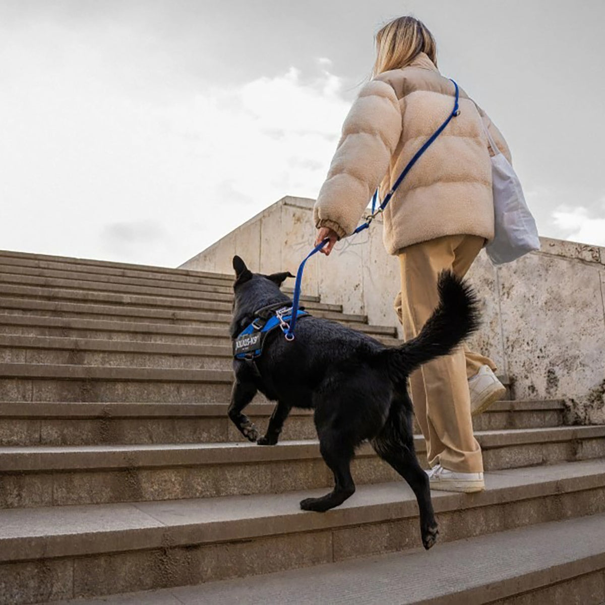 【Julius-K9 ユリウスケーナイン】スーパーグリップリード アジャスタブル 120-220cm 幅14mm/20mm