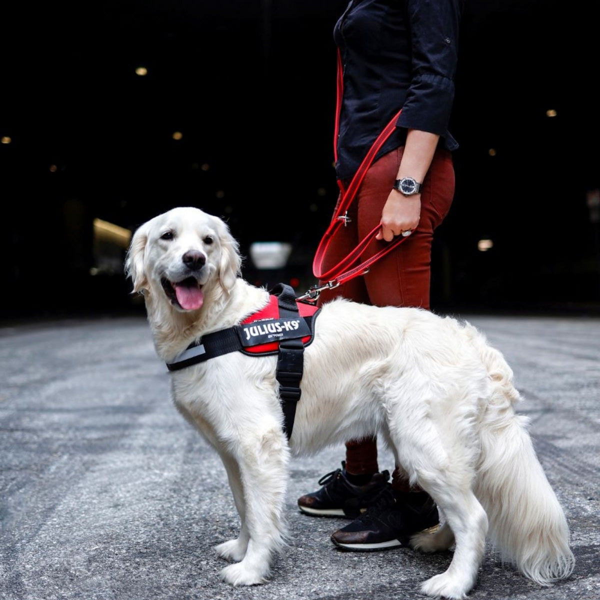 【Julius-K9 ユリウスケーナイン】スーパーグリップリード アジャスタブル 120-220cm 幅14mm/20mm