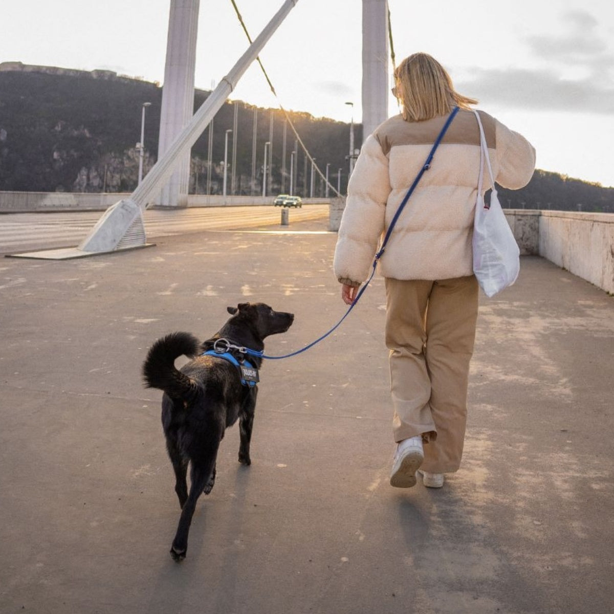 【Julius-K9 ユリウスケーナイン】スーパーグリップリード アジャスタブル 120-220cm 幅14mm/20mm