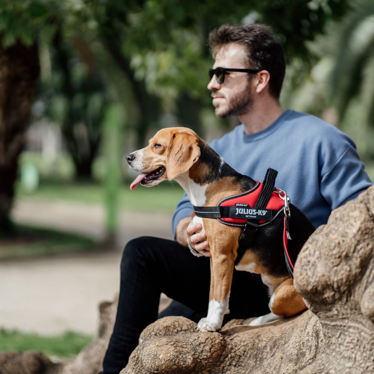 【Julius-K9 ユリウスケーナイン】IDCパワーサマーハーネス IDC®Power Summer harnesses サイズMiniMini/XS,Mini/S