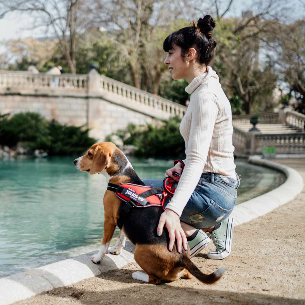 【Julius-K9 ユリウスケーナイン】IDCパワーサマーハーネス IDC®Power Summer harnesses サイズMiniMini/XS,Mini/S