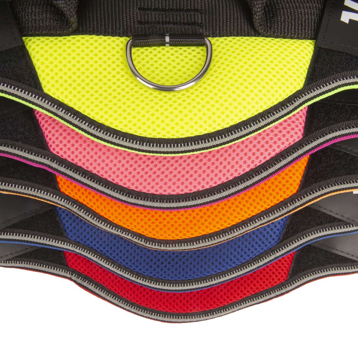 【Julius-K9 ユリウスケーナイン】IDCパワーサマーハーネス IDC®Power Summer harnesses サイズMiniMini/XS,Mini/S