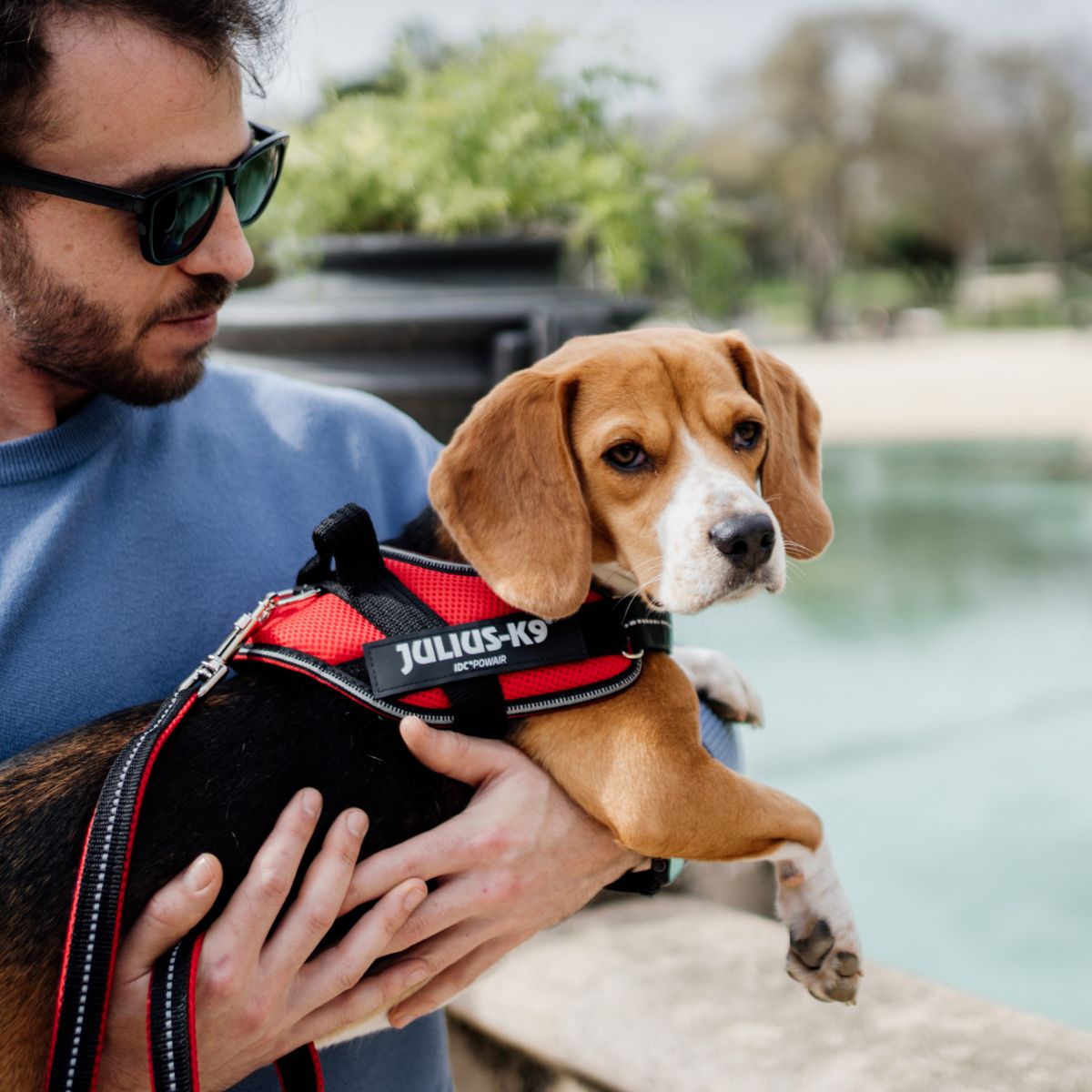 【Julius-K9 ユリウスケーナイン】IDCパワーサマーハーネス IDC®Power Summer harnesses サイズMiniMini/XS,Mini/S