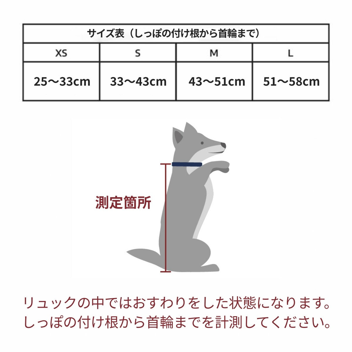 【K9 Sport Sack ケーナイン スポーツサック】スポーツサック Air2 XS,S,M,Lサイズ ブラック・グレー・ミント