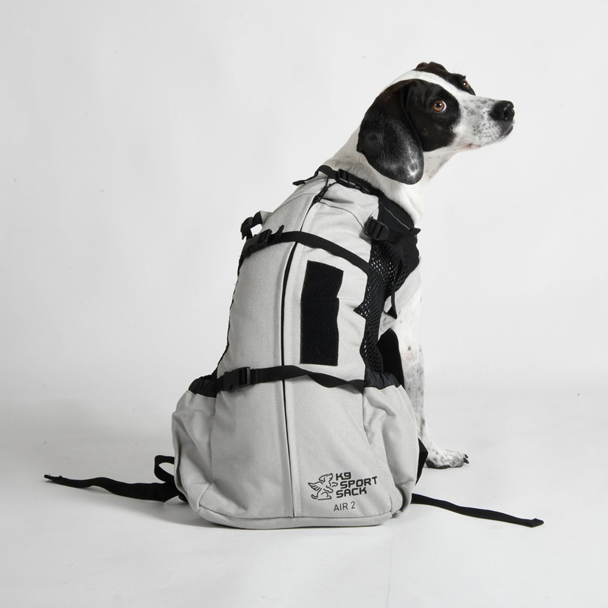【K9 Sport Sack ケーナイン スポーツサック】スポーツサック Air2 新ロゴタイプ S-L ブラック・グレー・ミント