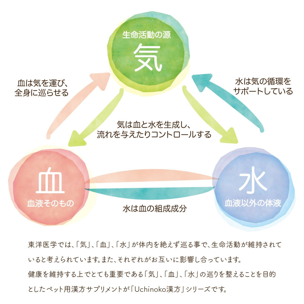 【Uchinoko うちのこ】ペット用 サプリ 漢方 血の巡り 30g