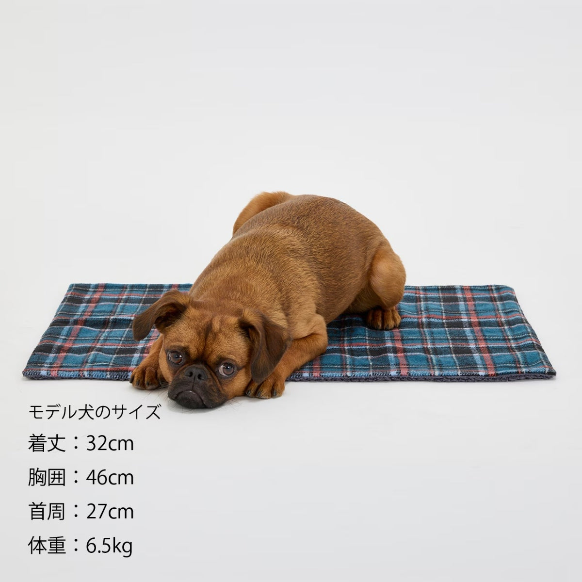 【MANDARINE BROTHERS マンダリンブラザーズ】 ボアカフェマット Boa Cafe Mat