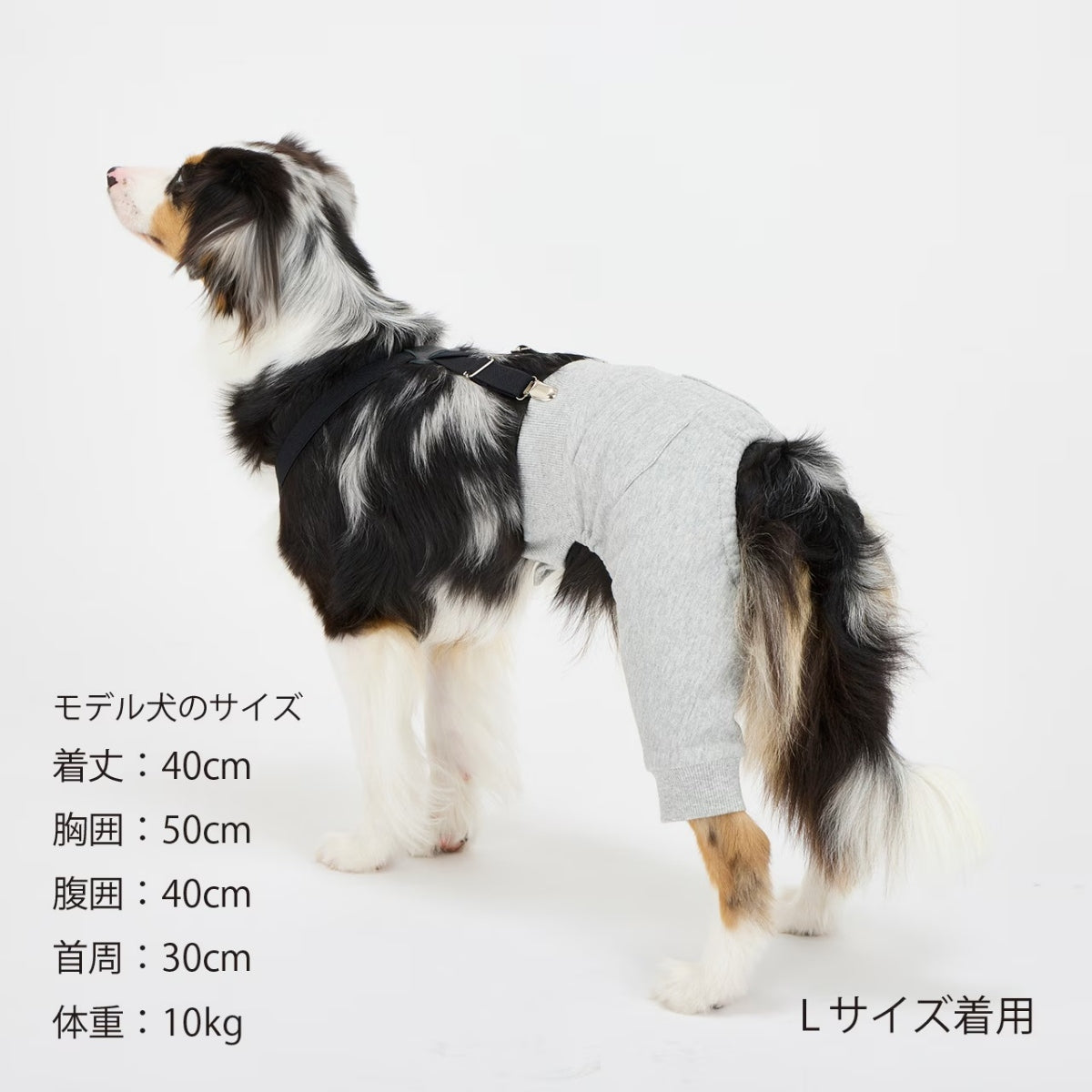 【MANDARINE BROTHERS マンダリンブラザーズ】MBサスペンダー MB Suspender