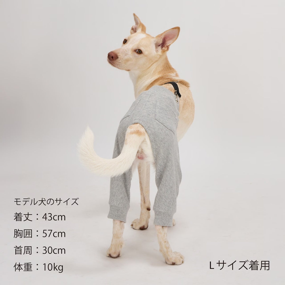 【MANDARINE BROTHERS マンダリンブラザーズ】MBサスペンダー MB Suspender