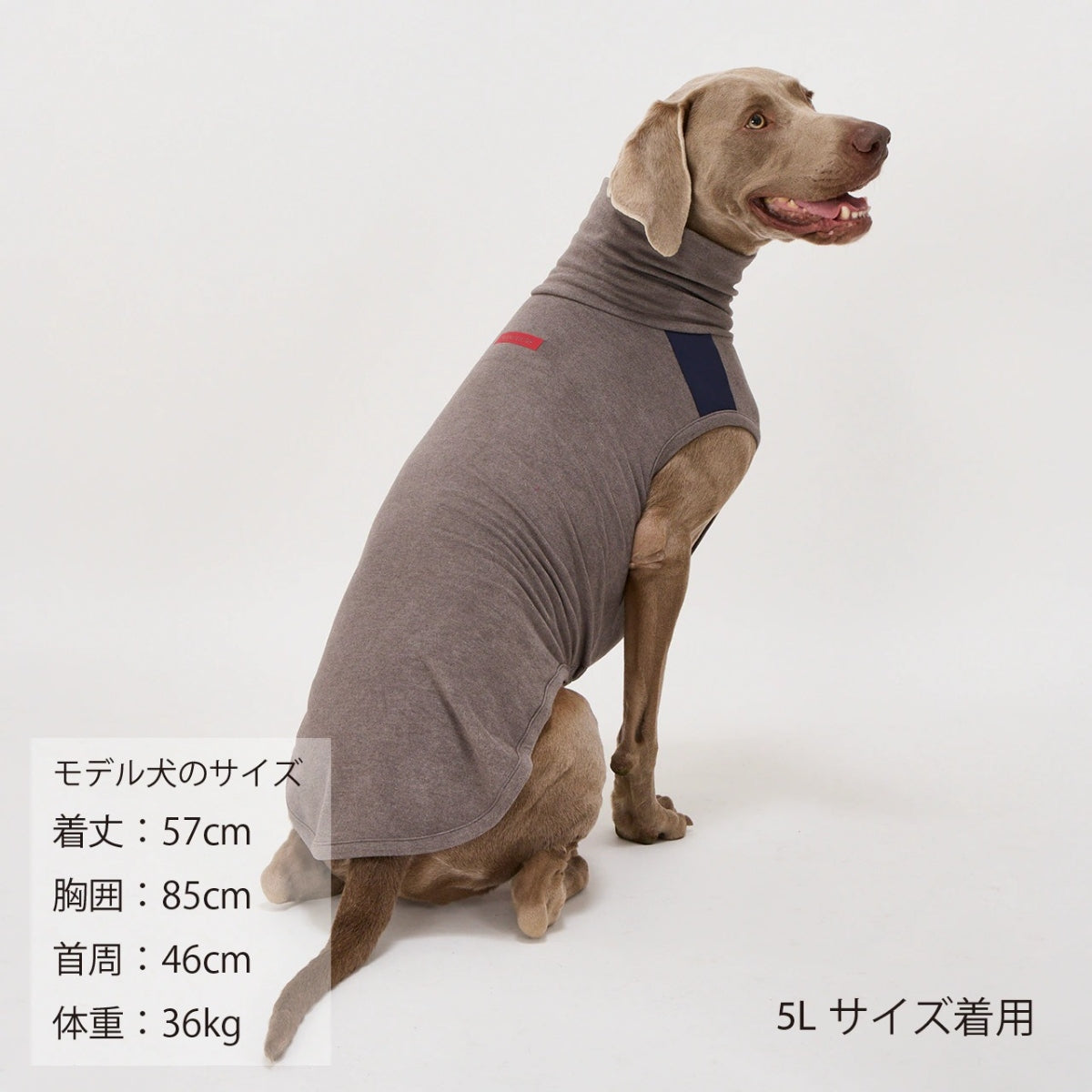 【MANDARINE BROTHERS マンダリンブラザーズ】 モイストハイネックT MOIST HIGH NECK T
