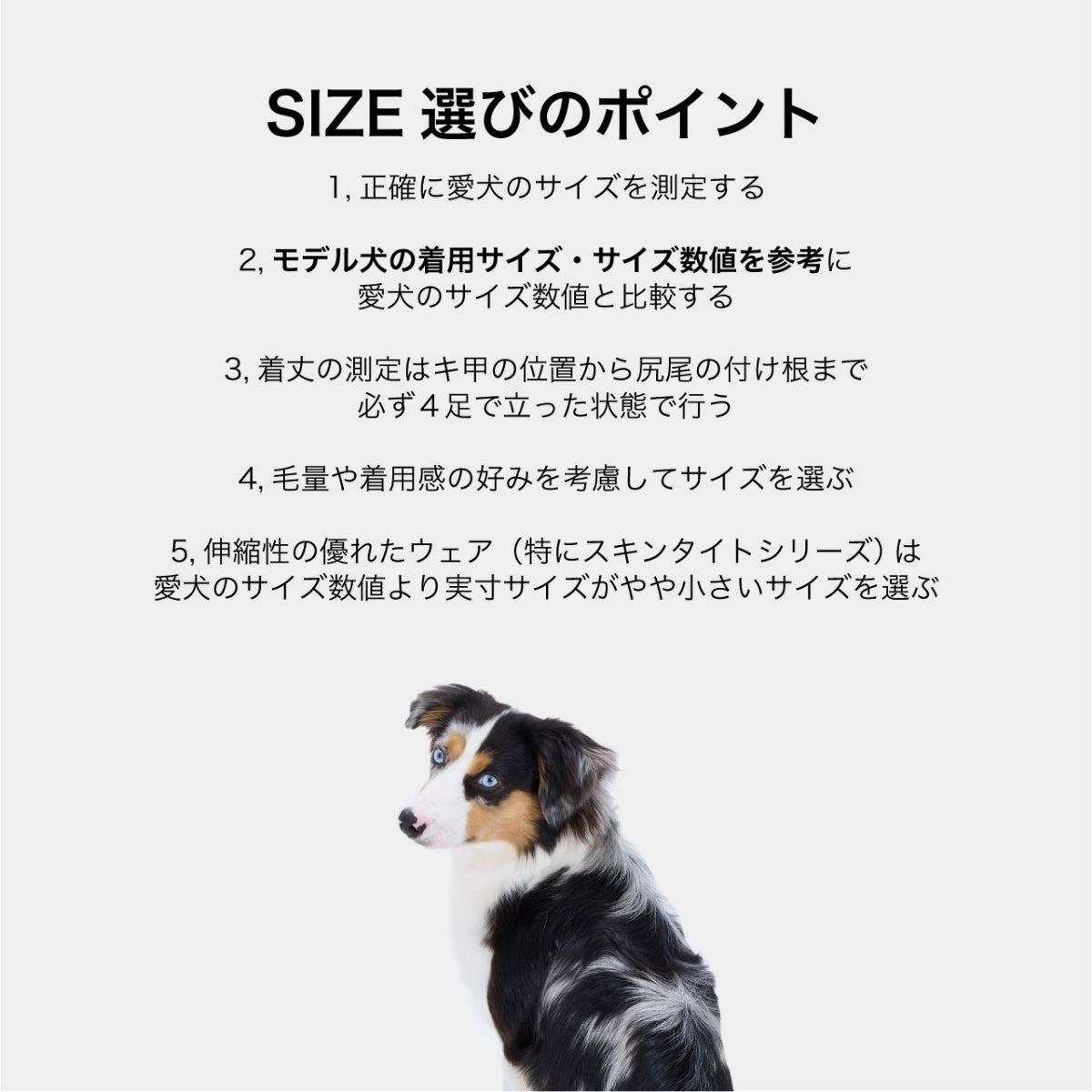 【MANDARINE BROTHERS マンダリンブラザーズ】 モイストハイネックT MOIST HIGH NECK T