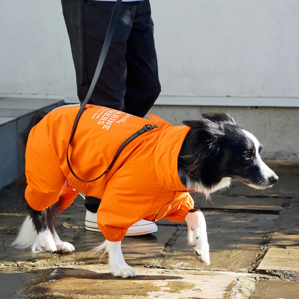 【MANDARINE BROTHERS マンダリンブラザーズ】レインスーツ RAIN SUIT