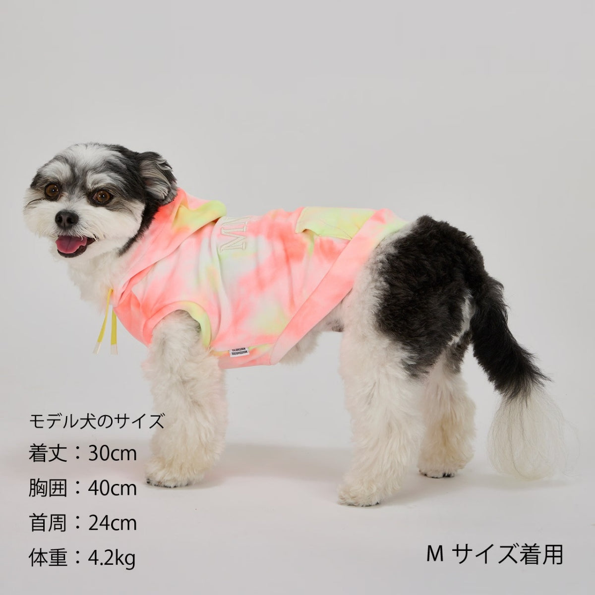【MANDARINE BROTHERS マンダリンブラザーズ】タイダイフーディ TIE-DYE HOODIE