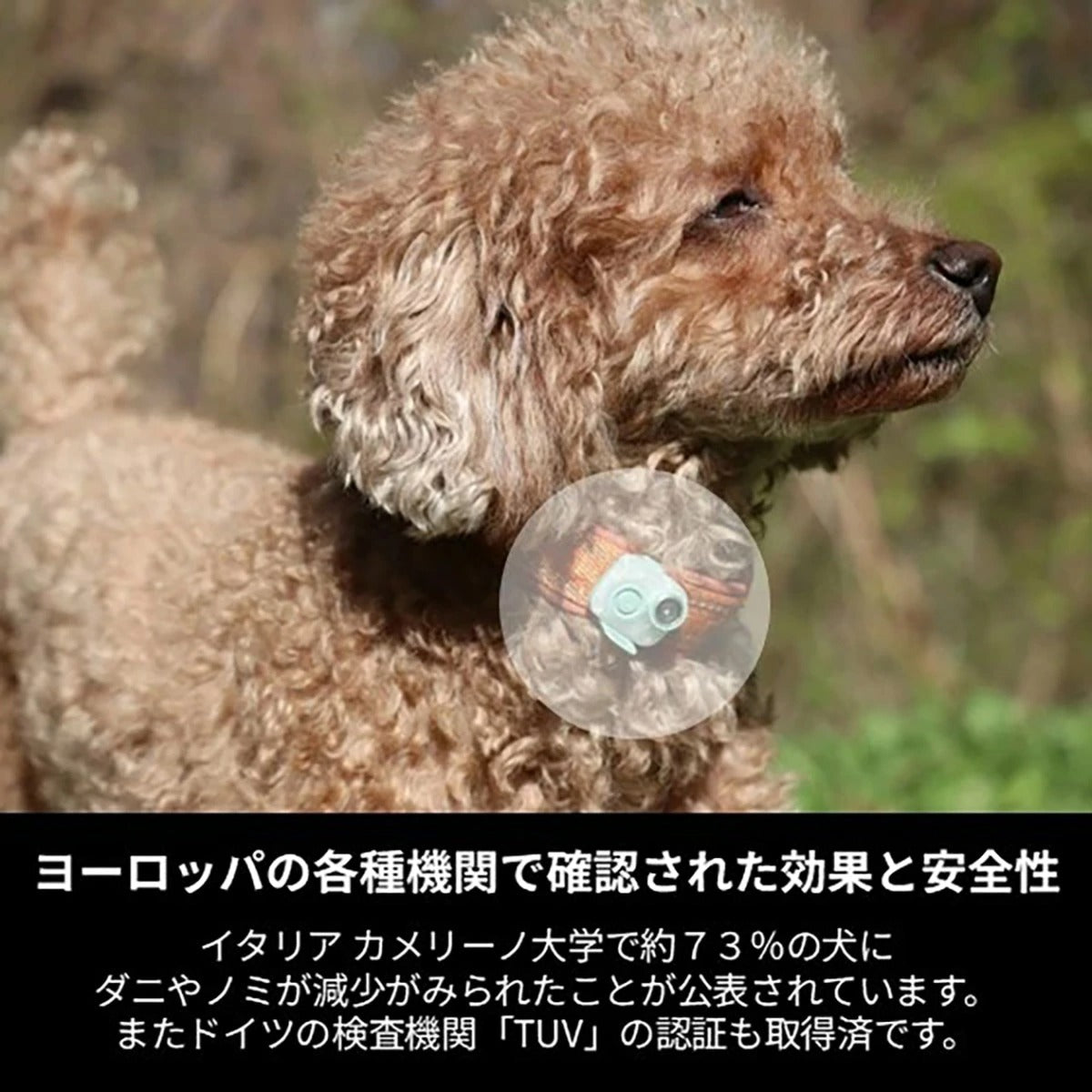 【Max & Molly マックスアンドモリー】Sound Shield サウンドシールド