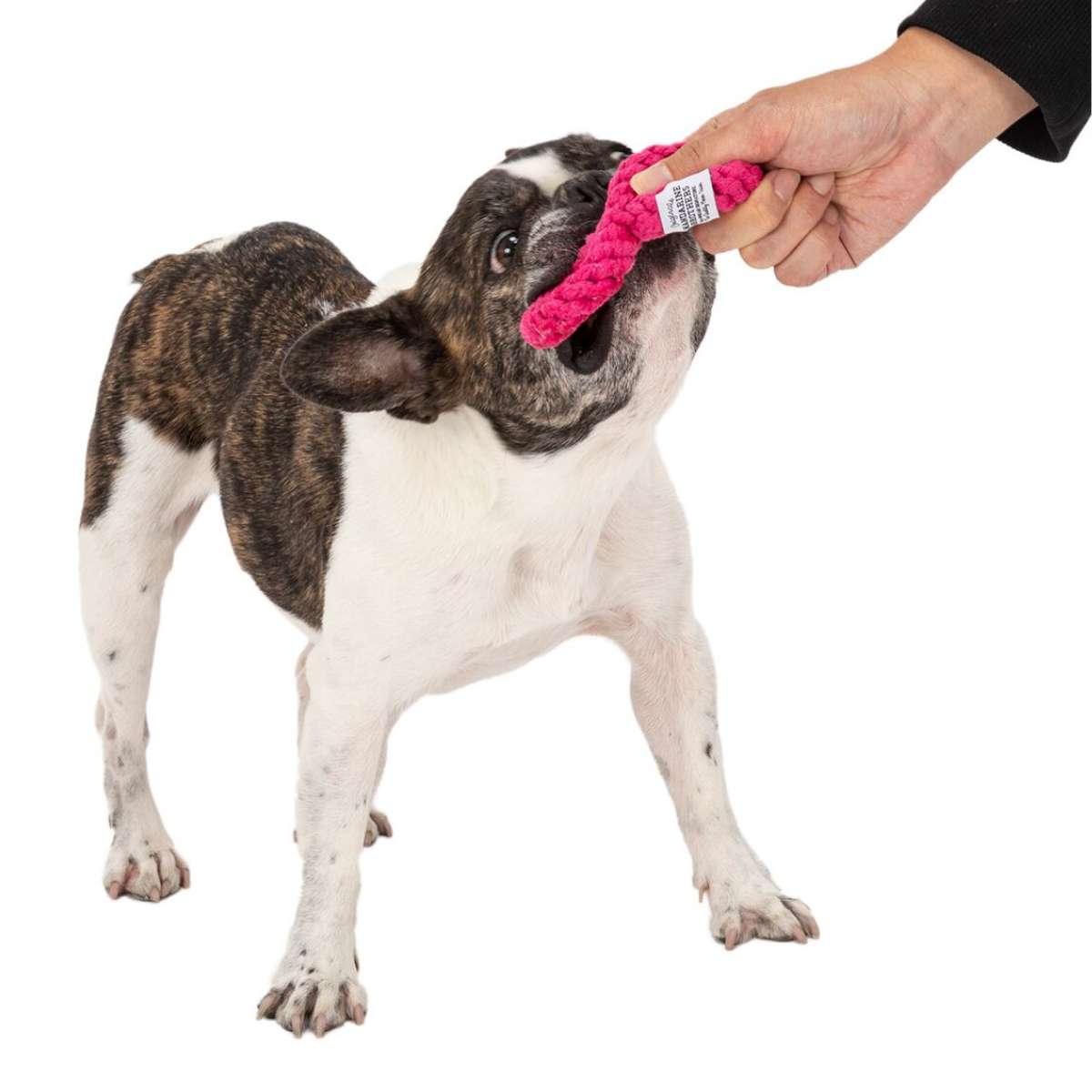 【MANDARINE BROTHERS マンダリンブラザーズ】ナンバーロープトイ Number Rope Toy