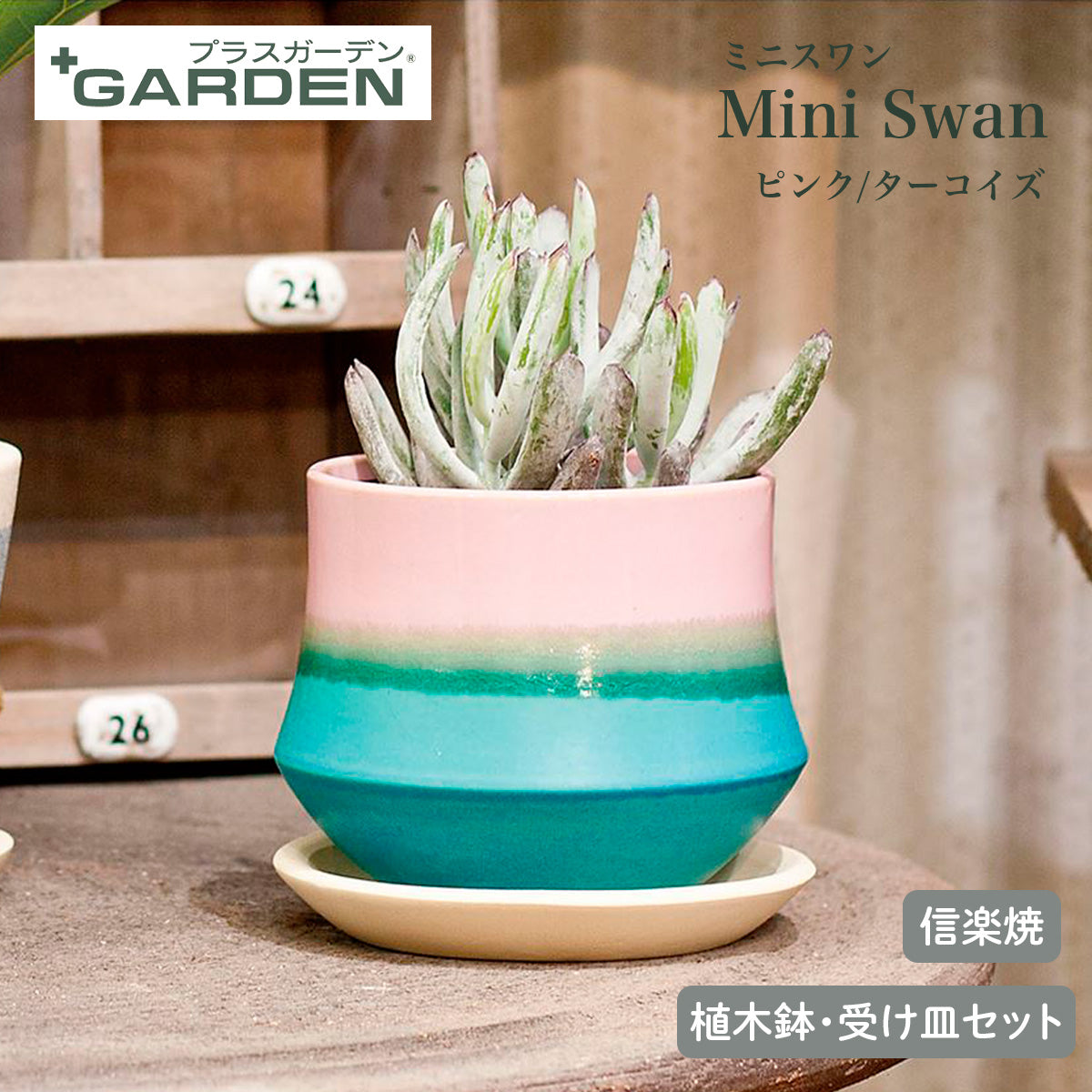 【PLUS GARDEN プラスガーデン】Mini Swan ミニスワン 直径13cm ピンク/ターコイズ