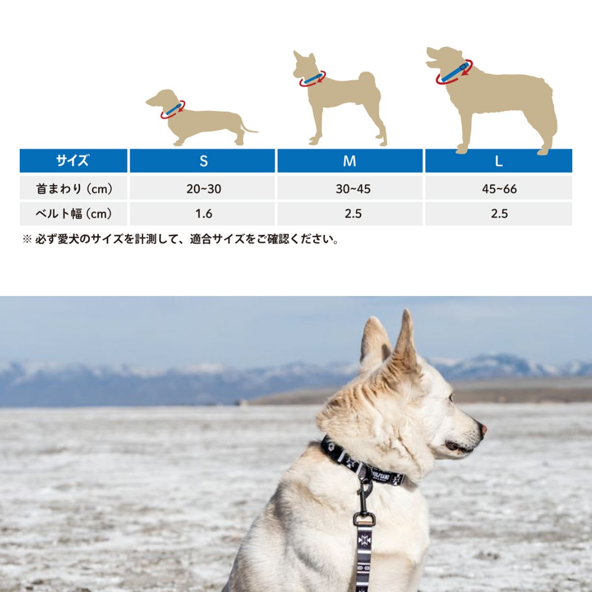 【WOLFGANG MAN & BEAST ウルフギャング マン&ビースト】首輪 NewMoon Collar(S M L size 首周り:20〜66cm)