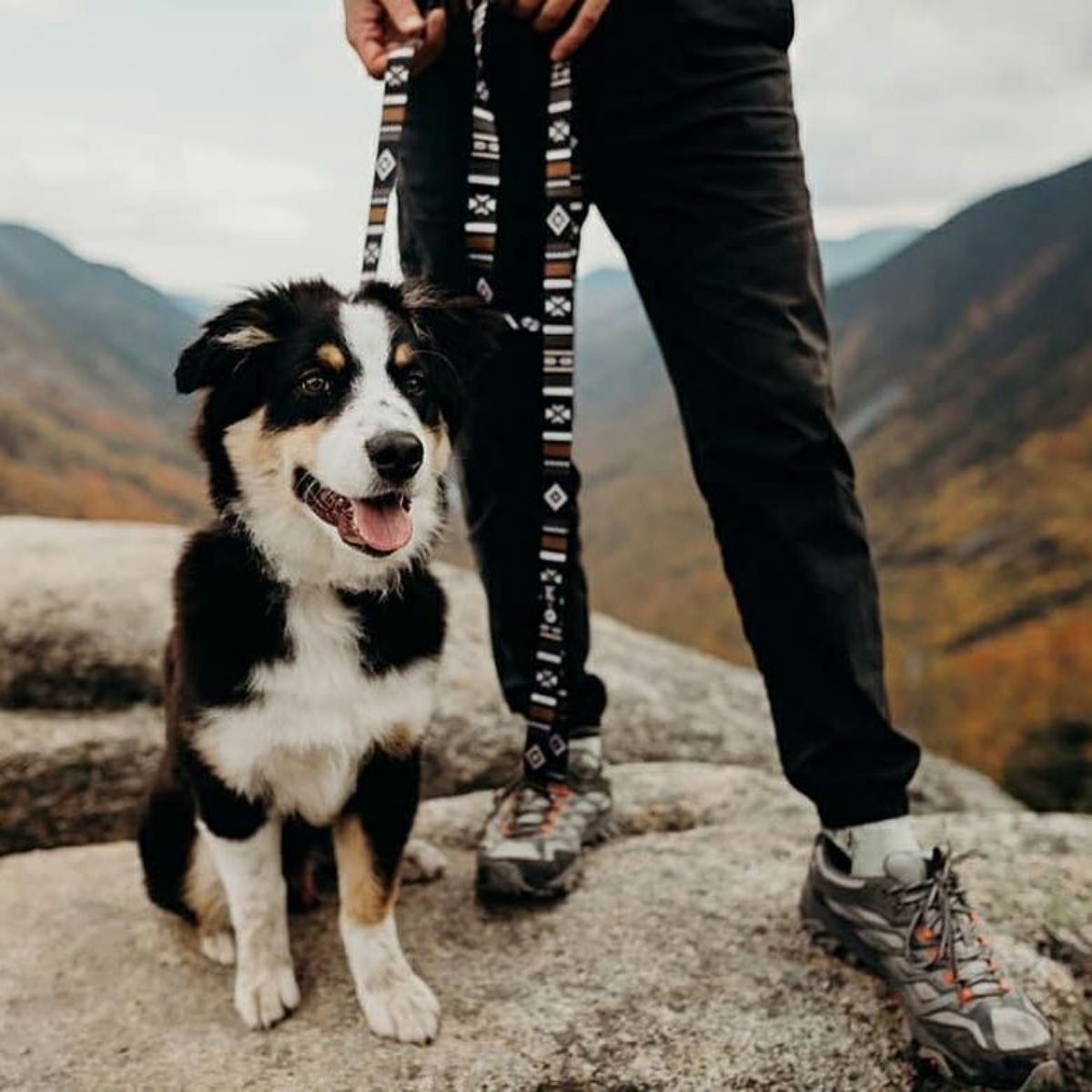 【WOLFGANG MAN & BEAST ウルフギャング マン&ビースト】リード NewMoon Leash(S M L size 全長:122cm 183cm)