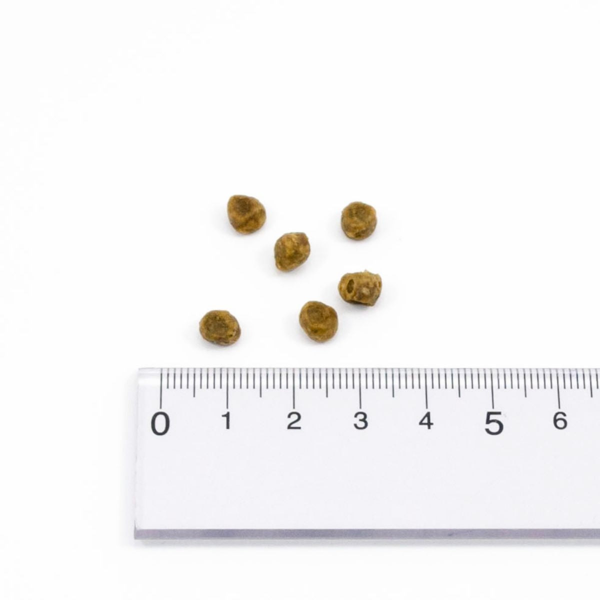 【NOW FRESH ナウ フレッシュ】グレインフリー アダルトキャット / 350g ターキー キャットフード