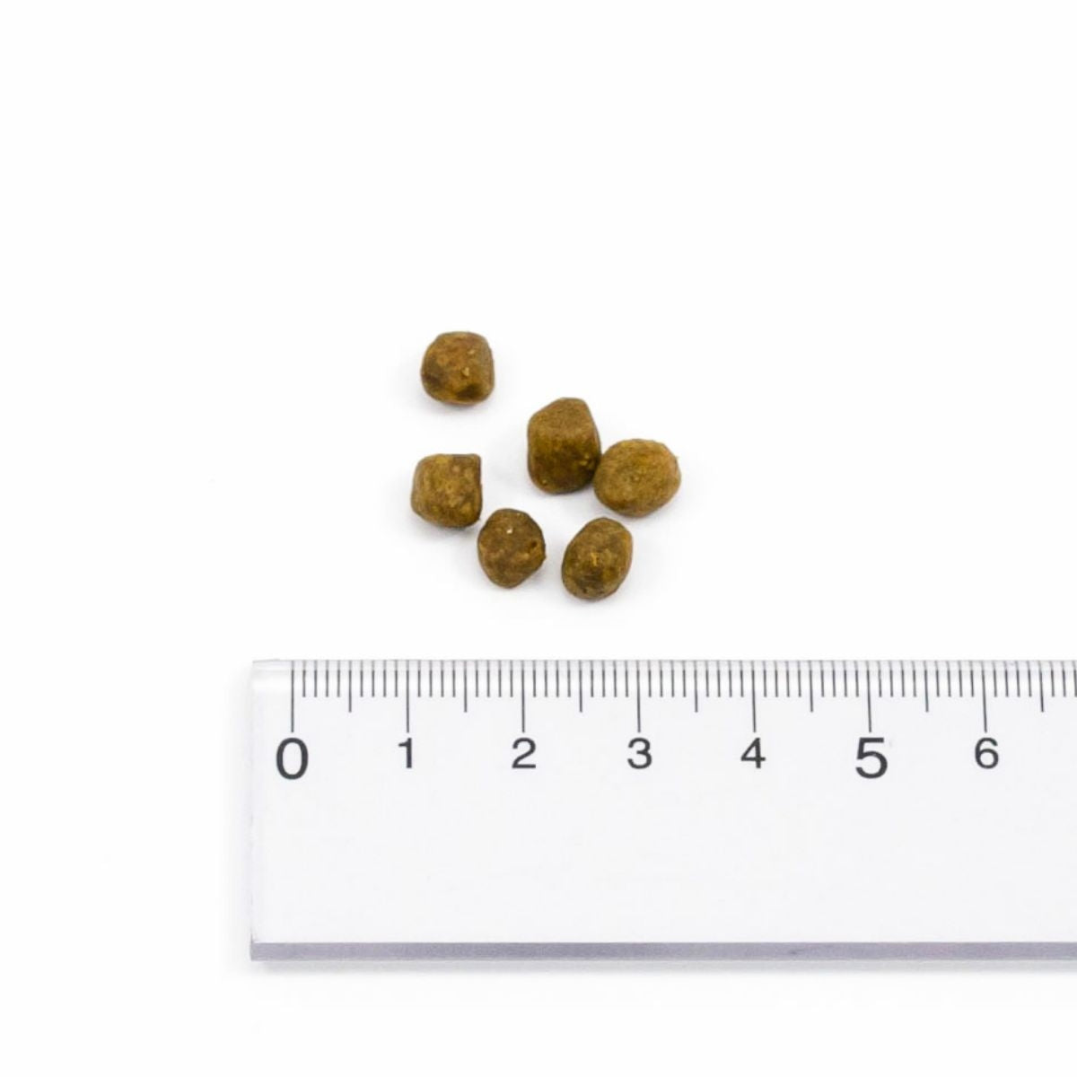 【NOW FRESH ナウ フレッシュ】グレインフリー フィッシュ アダルトキャット / 350g キャットフード