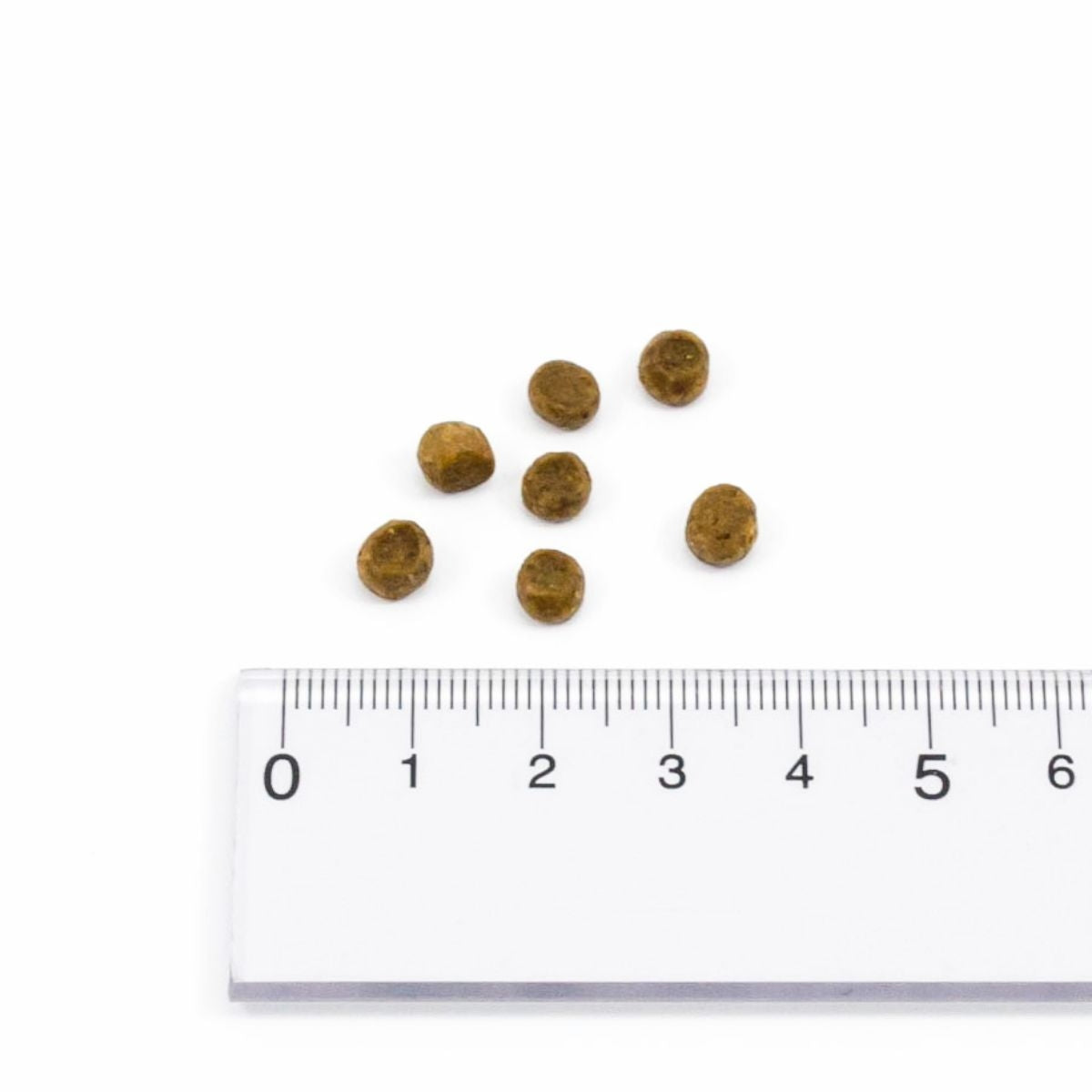 【NOW FRESH ナウ フレッシュ】グレインフリー キトン / 350g ターキー キャットフード