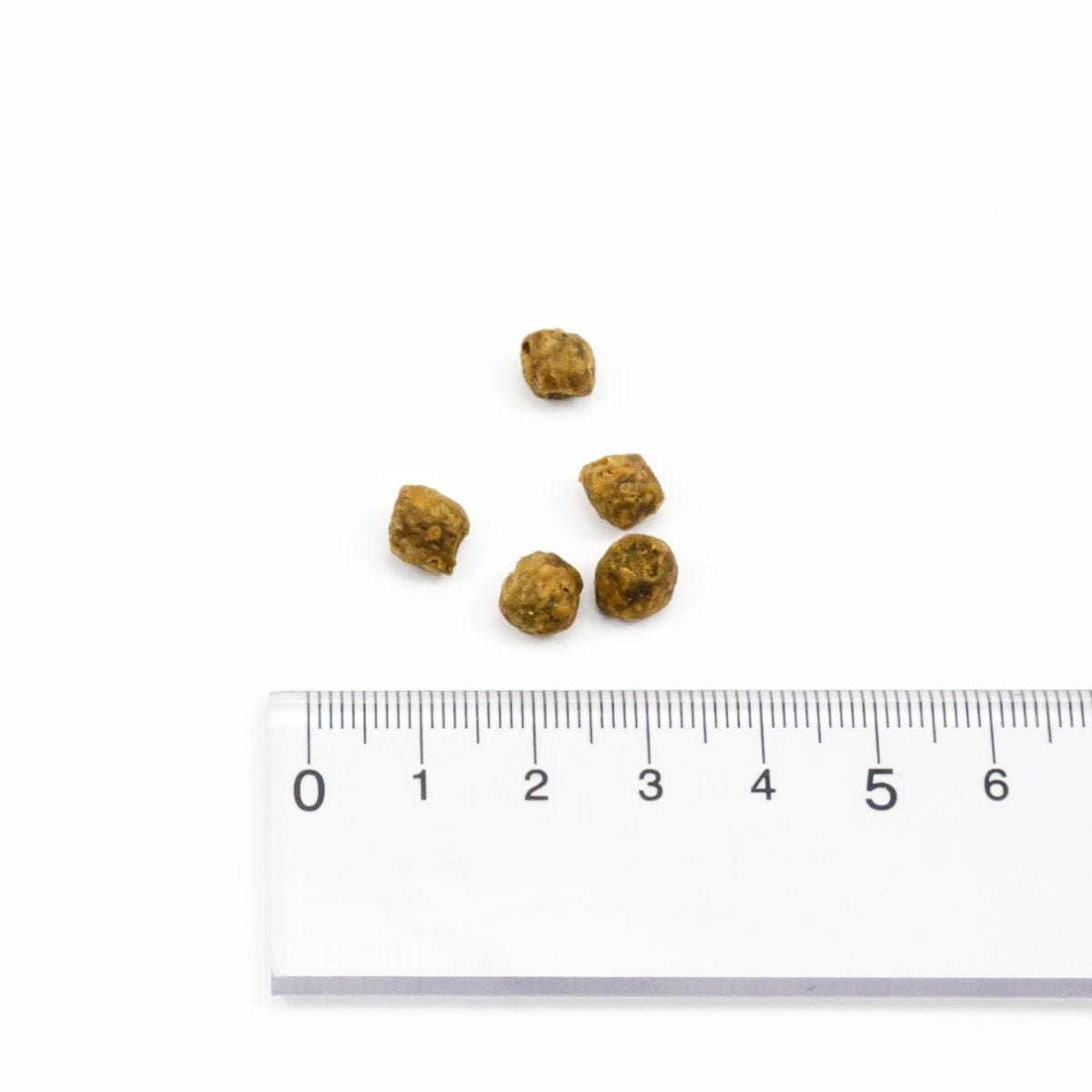 【NOW FRESH ナウ フレッシュ】グレインフリー シニアキャット&ウェイトマネジメント / 350g ターキー キャットフード