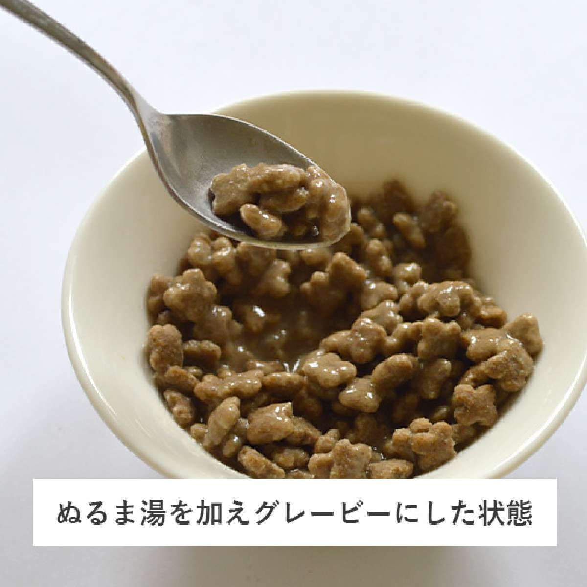 【NOW FRESH ナウ フレッシュ】グレインフリー グッドグレービー スモールブリード / 800g サーモン