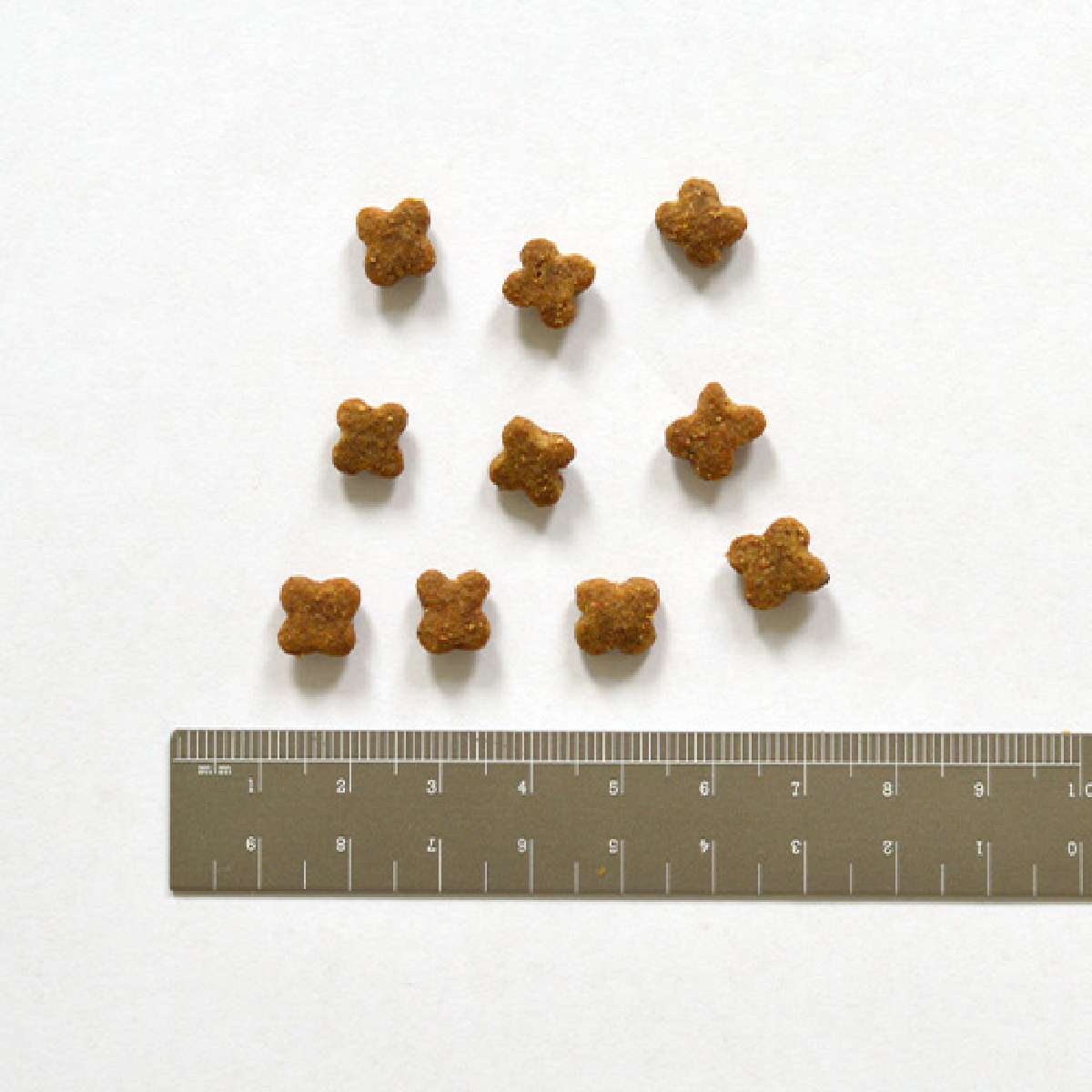 【NOW FRESH ナウ フレッシュ】グレインフリー グッドグレービー スモールブリード / 800g サーモン