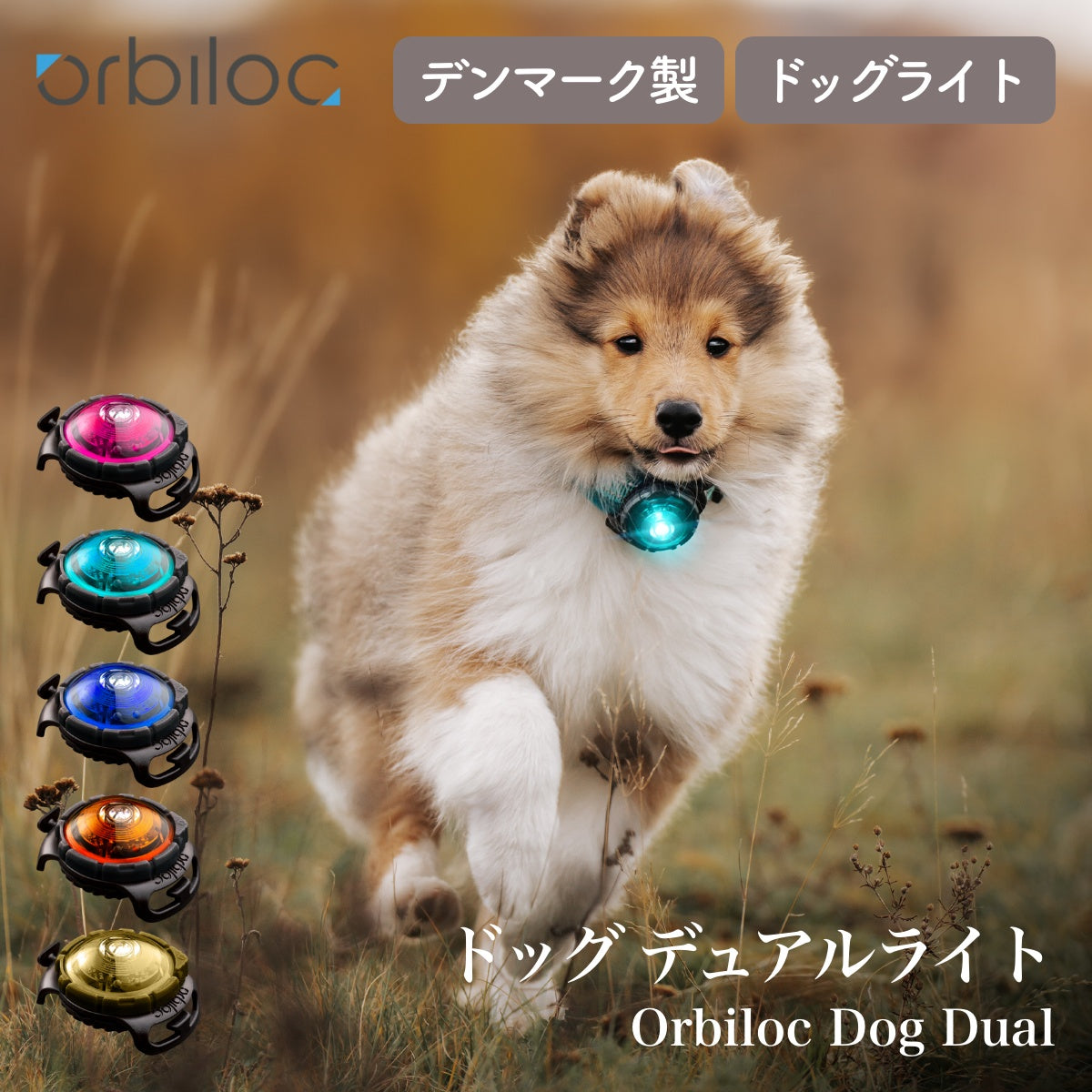 【Orbiloc オルビロック】ドッグ デュアルライト Dog Dual Light デンマーク製ライト