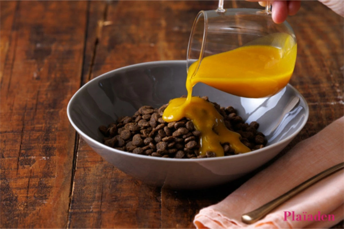 【Plaiaden プレイアーデン】FRICKLE かぼちゃ 80g for Dog/Cat(タネンバウム)トッピング