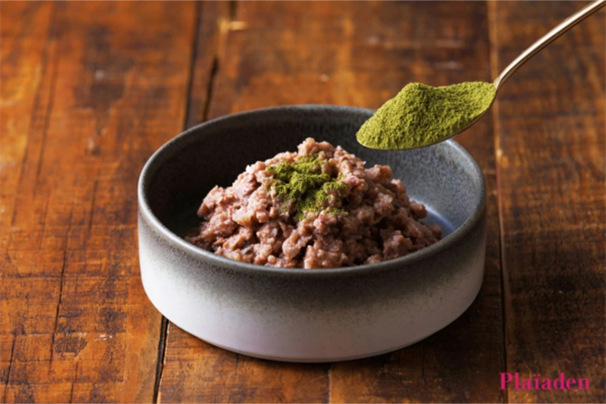 【Plaiaden プレイアーデン】FRICKLE モリンガ 80g for Dog/Cat(タネンバウム)トッピング