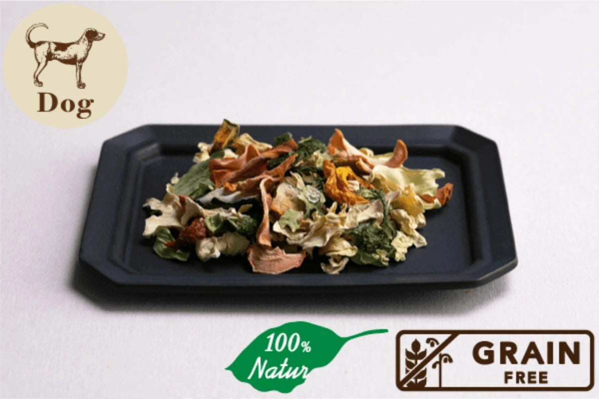 【Plaiaden プレイアーデン】ベジグルメ 8種のカラフル野菜 40g for Dog(タネンバウム)トッピング