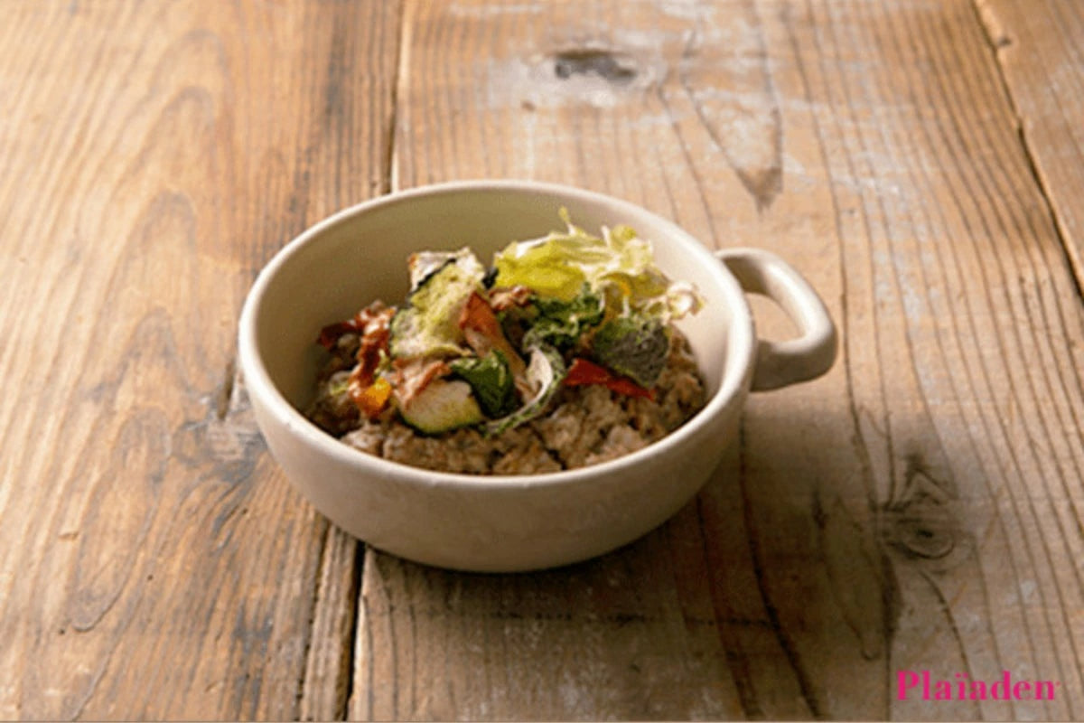 【Plaiaden プレイアーデン】ベジグルメ 8種のカラフル野菜 40g for Dog(タネンバウム)トッピング