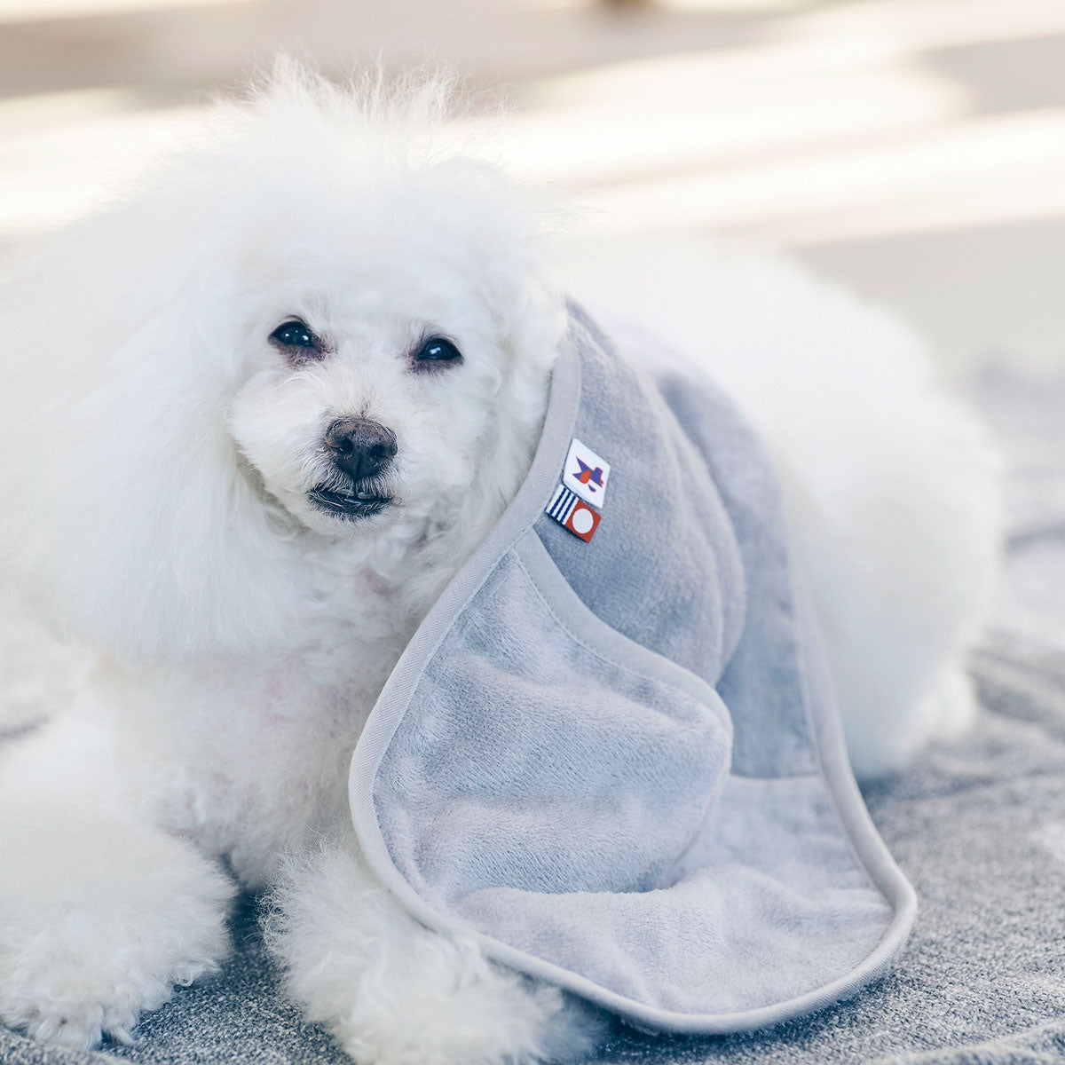 【HARTWELLDOG ハートウエルドッグ】ポケット付きお手入れタオル ペット用タオル