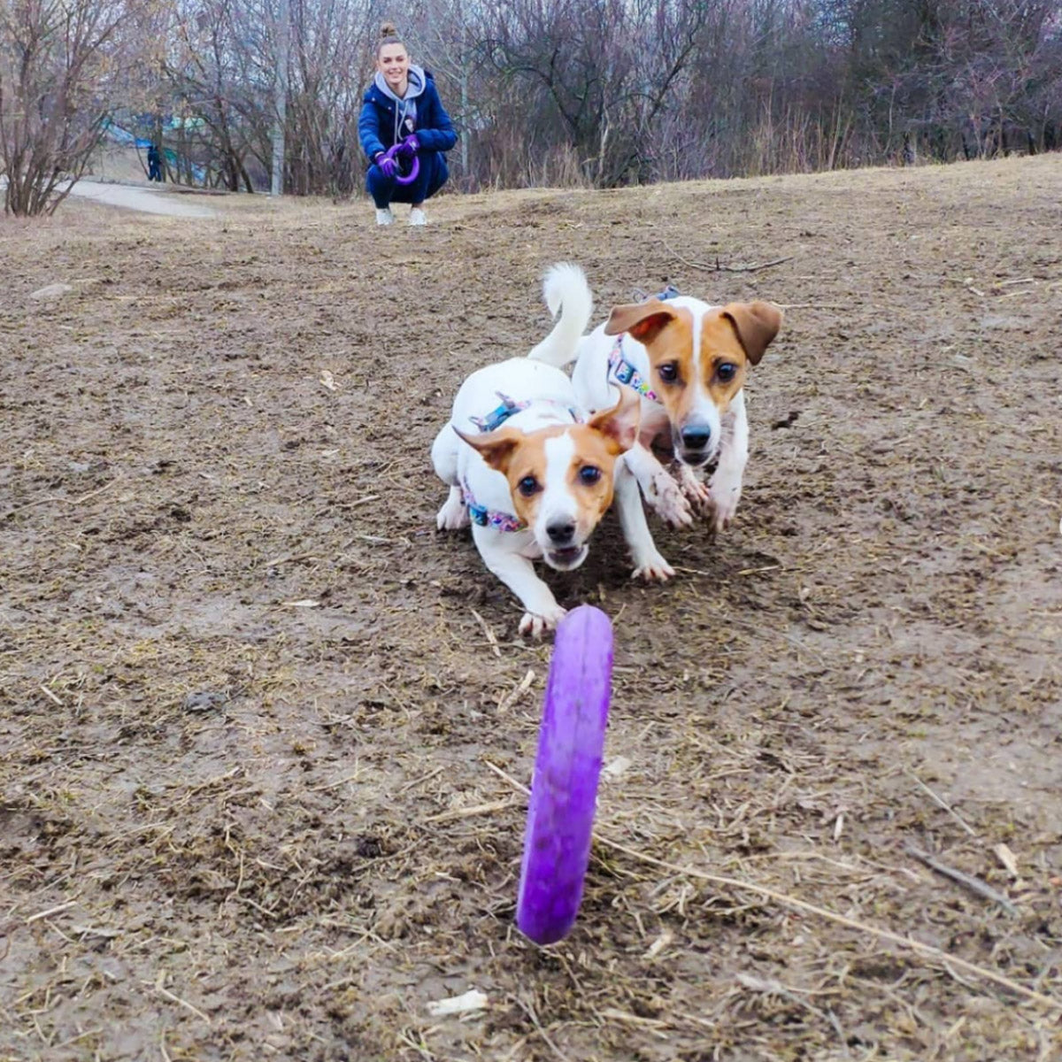 【PULLER プラー】PULLER MINI プラー ミニ 2個1組 小型犬・中型犬用