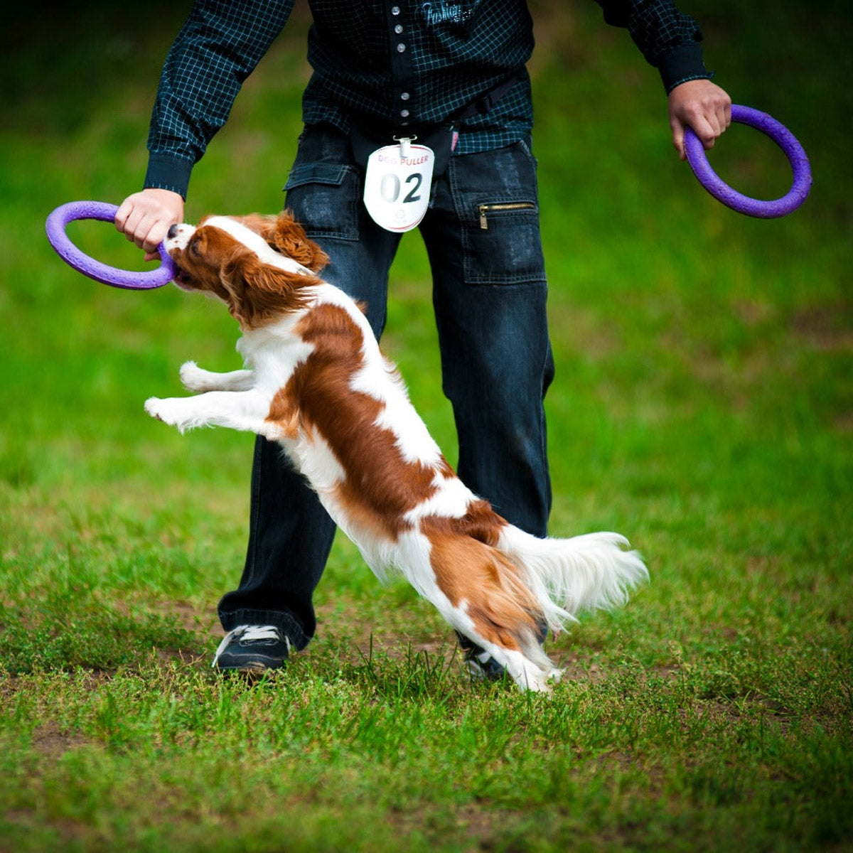 【PULLER プラー】PULLER STANDARD プラー スタンダード 2個1組 中型犬・大型犬用