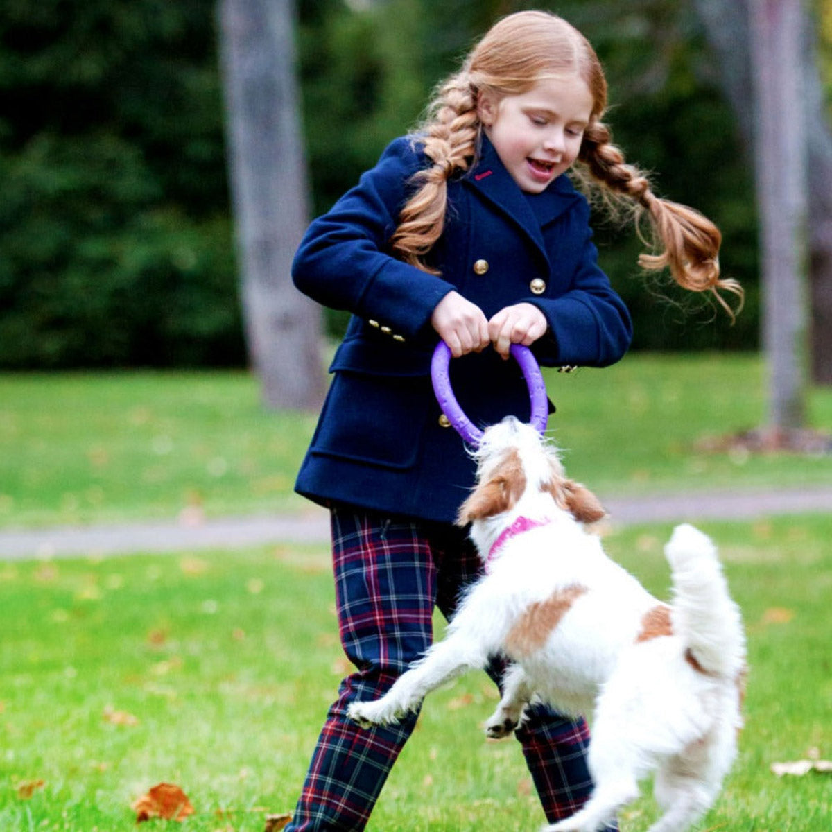 【PULLER プラー】PULLER MICRO プラー マイクロ 2個1組 小型犬・超小型犬