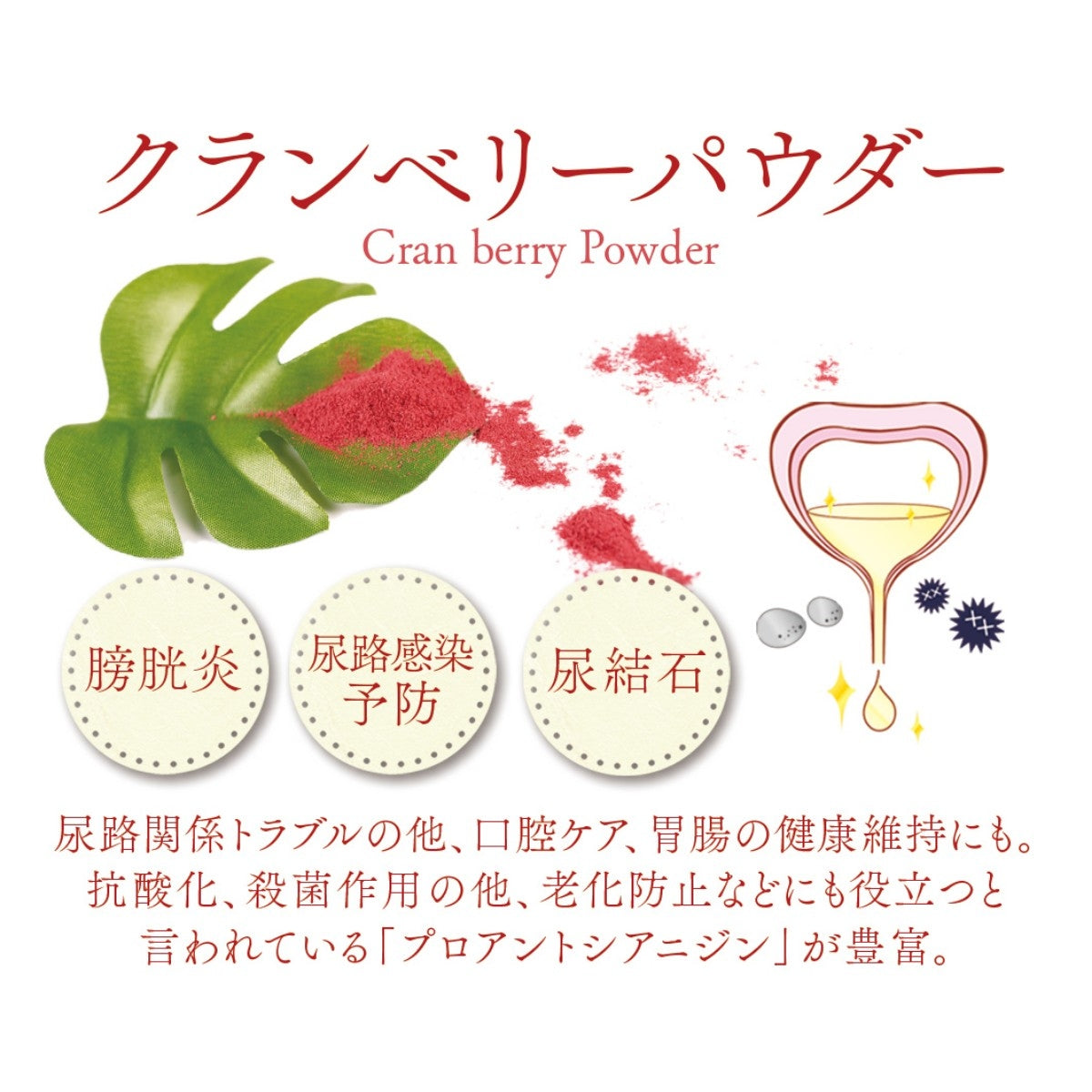 【STARRY ANIMAL】ペット用 クランベリーパウダー 50g