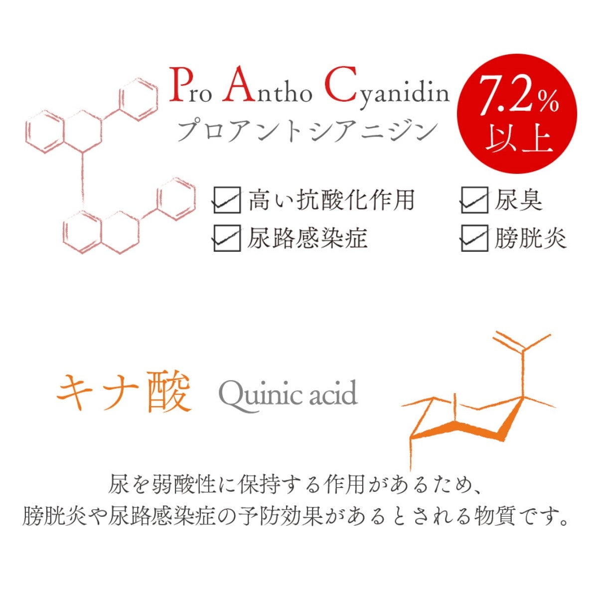 【STARRY ANIMAL】ペット用 クランベリーパウダー 50g