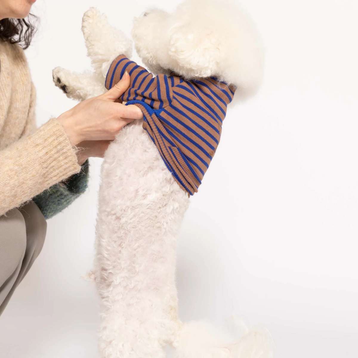 【the furryfolks ザ・パリフォックス】Stripe Tee Cobalt & Brown S M Lサイズ コバルト&ブラウン ストライプ