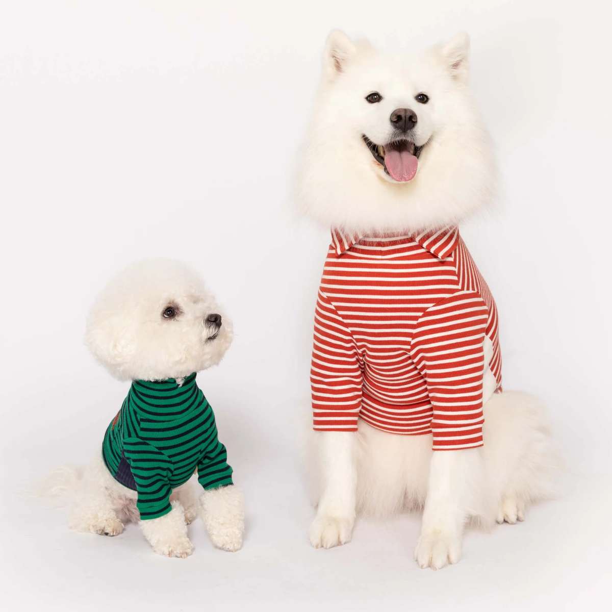 【the furryfolks ザ・パリフォックス】Stripe Tee Rust & Ivory S M L XLサイズ ラスト&アイボリー ストライプ