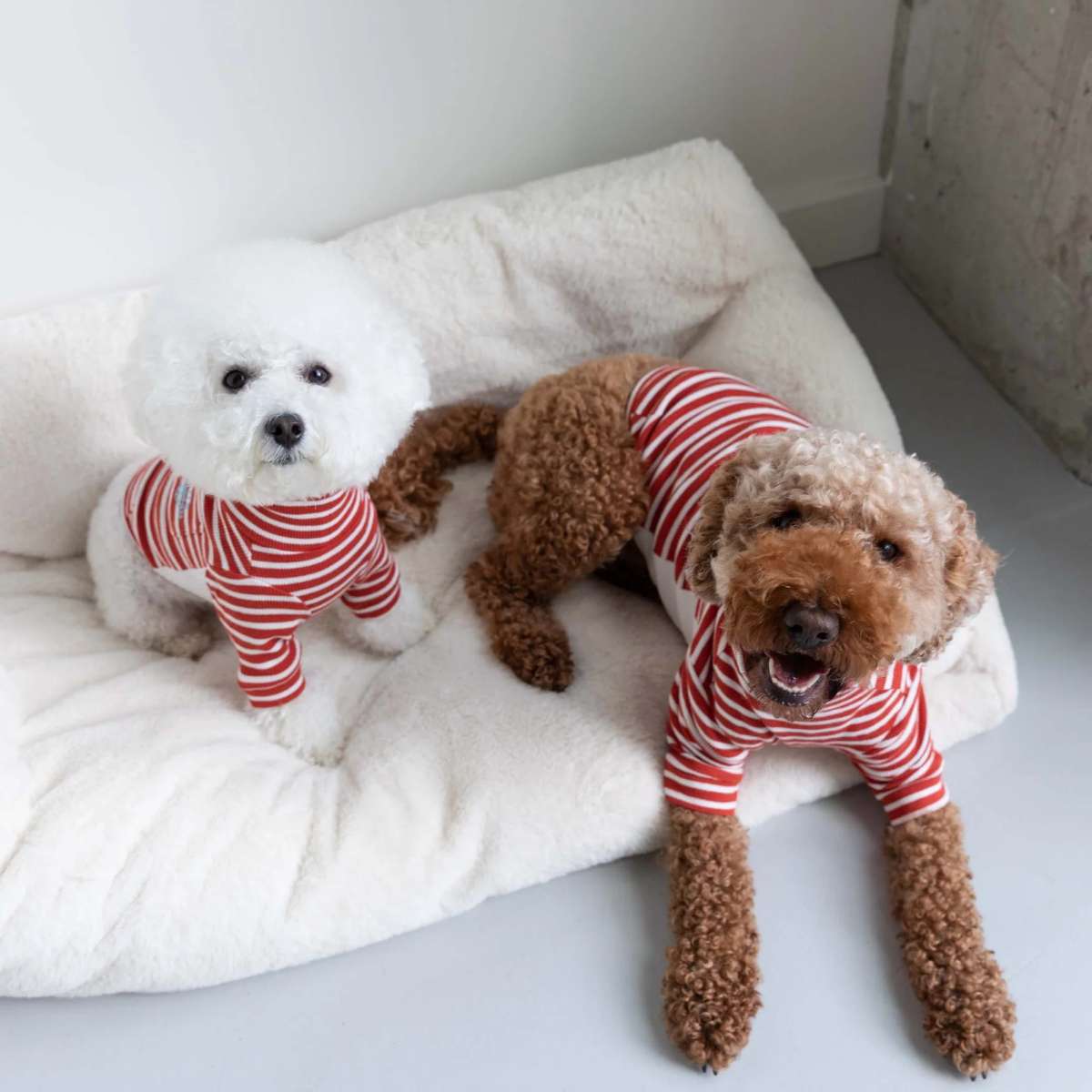 【the furryfolks ザ・パリフォックス】Stripe Tee Rust & Ivory S M L XLサイズ ラスト&アイボリー ストライプ