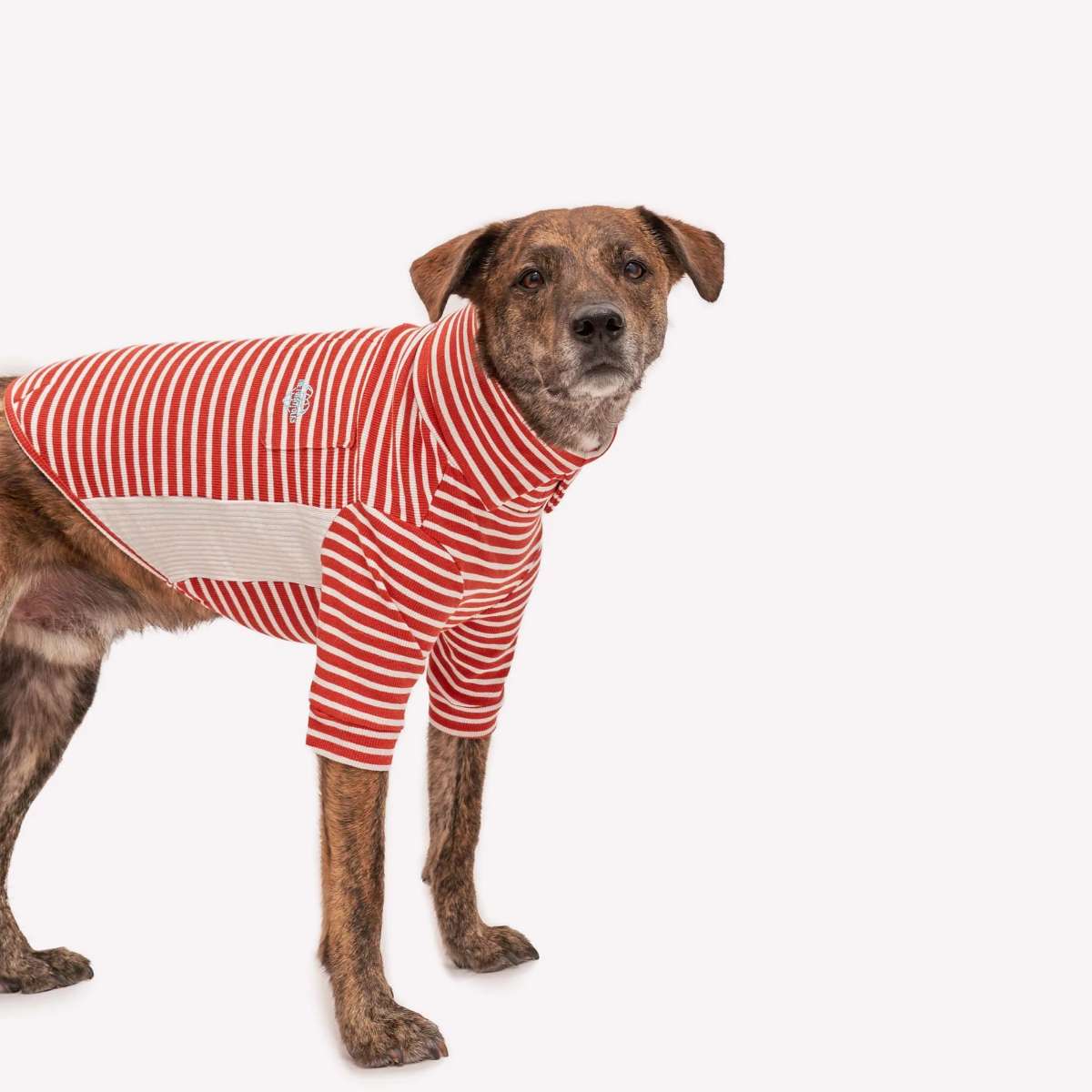 【the furryfolks ザ・パリフォックス】Stripe Tee Rust & Ivory S M L XLサイズ ラスト&アイボリー ストライプ