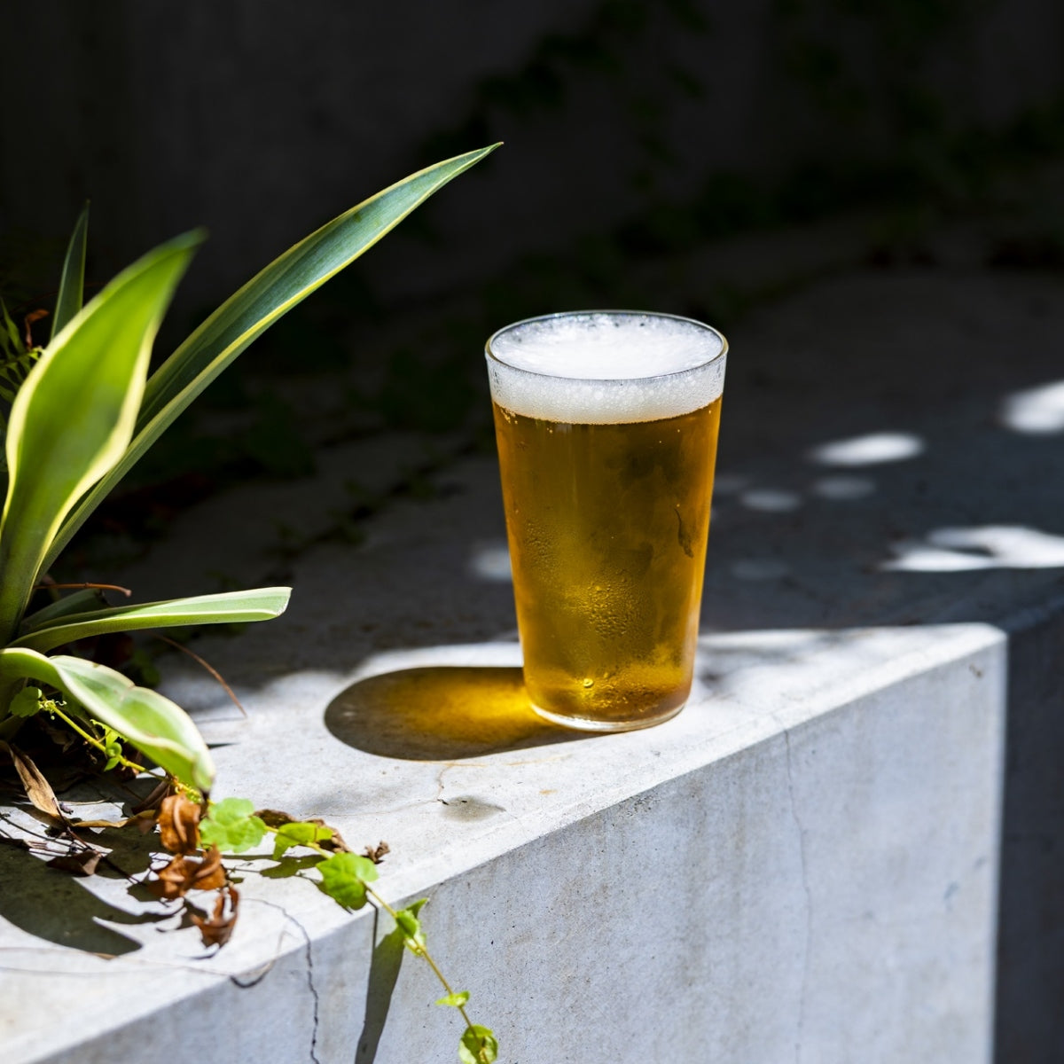 【THE ザ】THE GLASS グラス ショート 240ml / トール 350ml / グランデ 470ml 耐熱ガラス