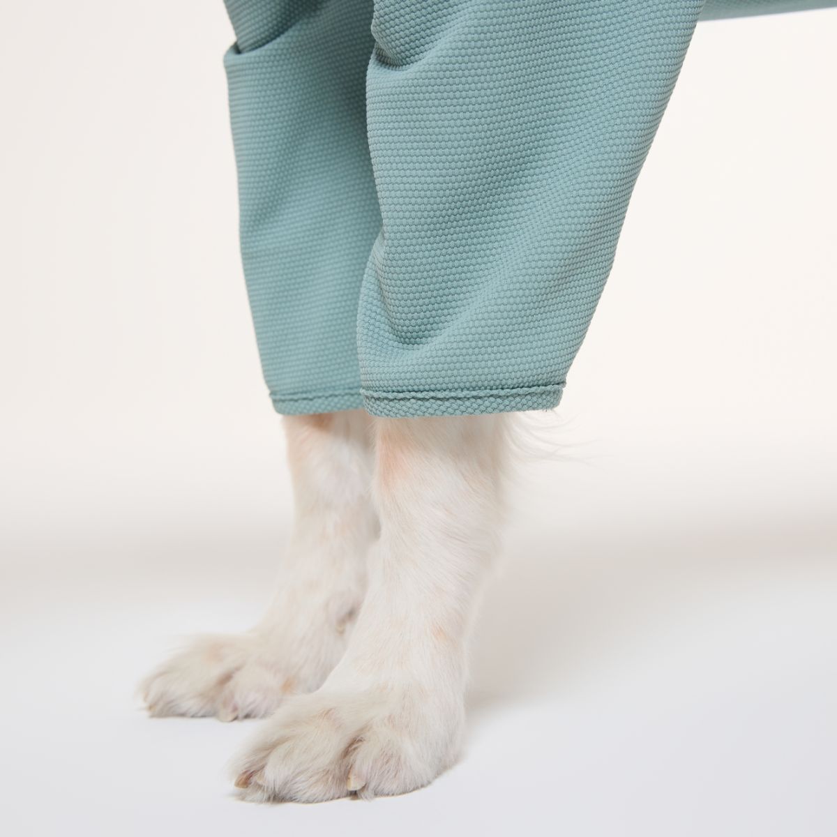 【TAILHIGH テールハイ】防虫アクティブスーツ Anti-Bug Active Suit XXS,XSサイズ