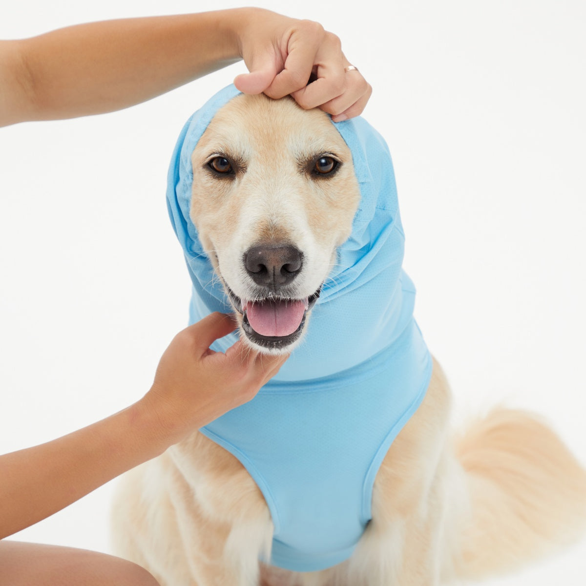 【TAILHIGH テールハイ】ダブルクーリングガード Go2 Cooling Guard Top S,SMサイズ